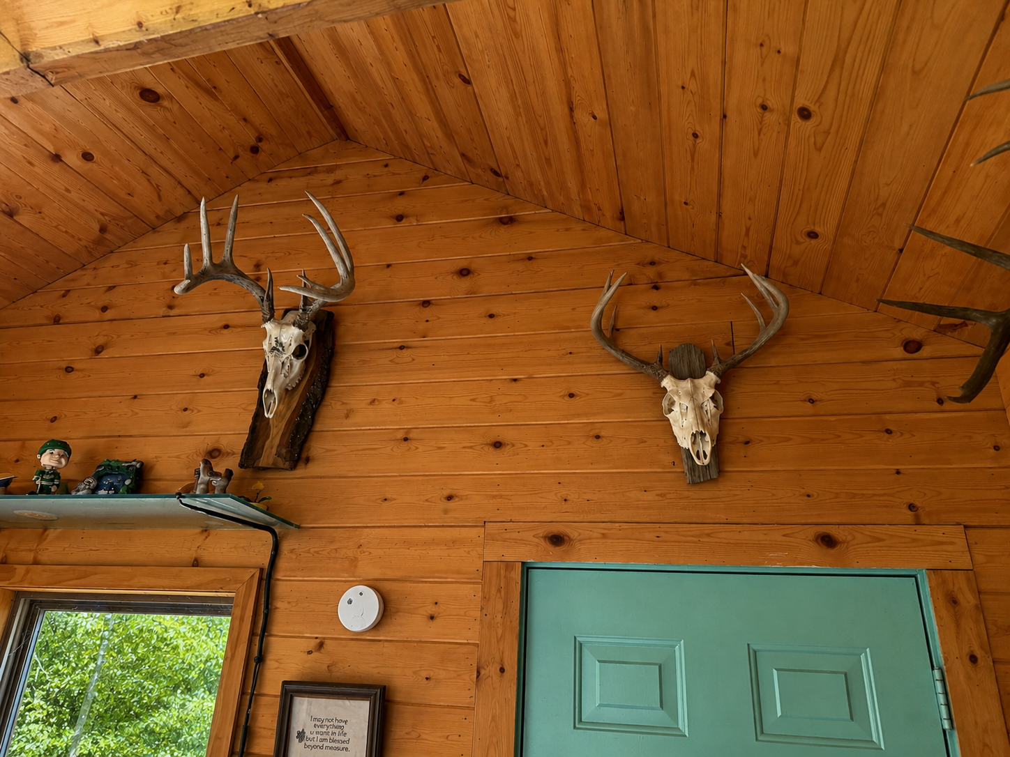 TBD Chimney Road, Nevis MN 56467 - Photo 12 of 13