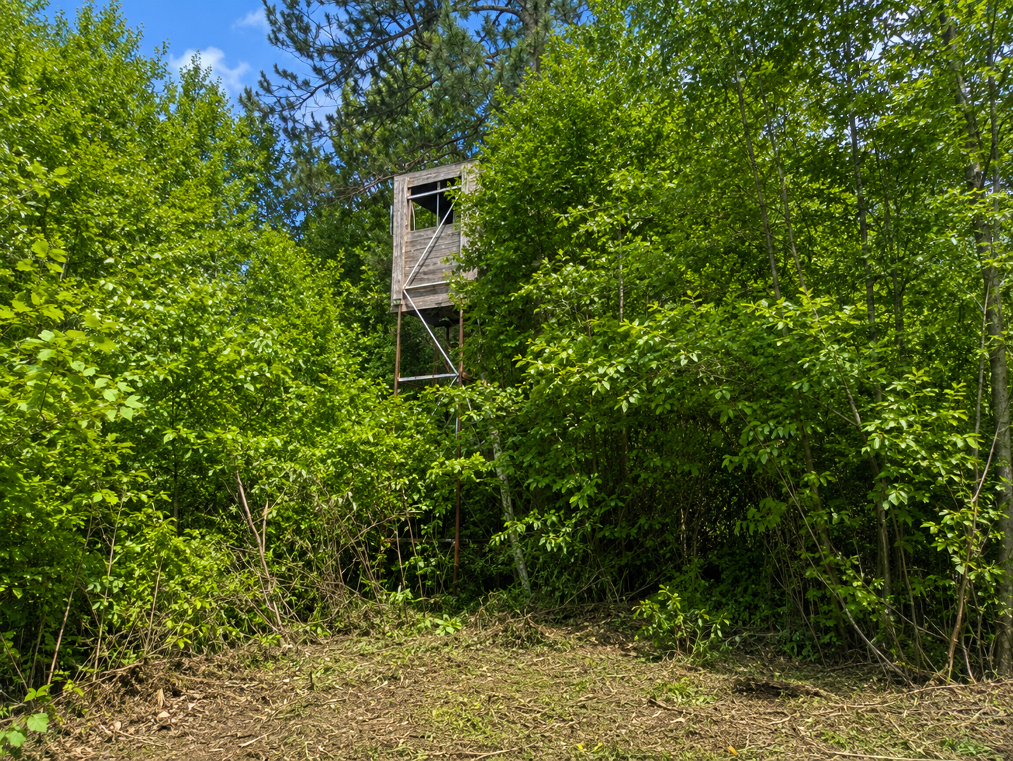 TBD Chimney Road, Nevis MN 56467 - Photo 9 of 13