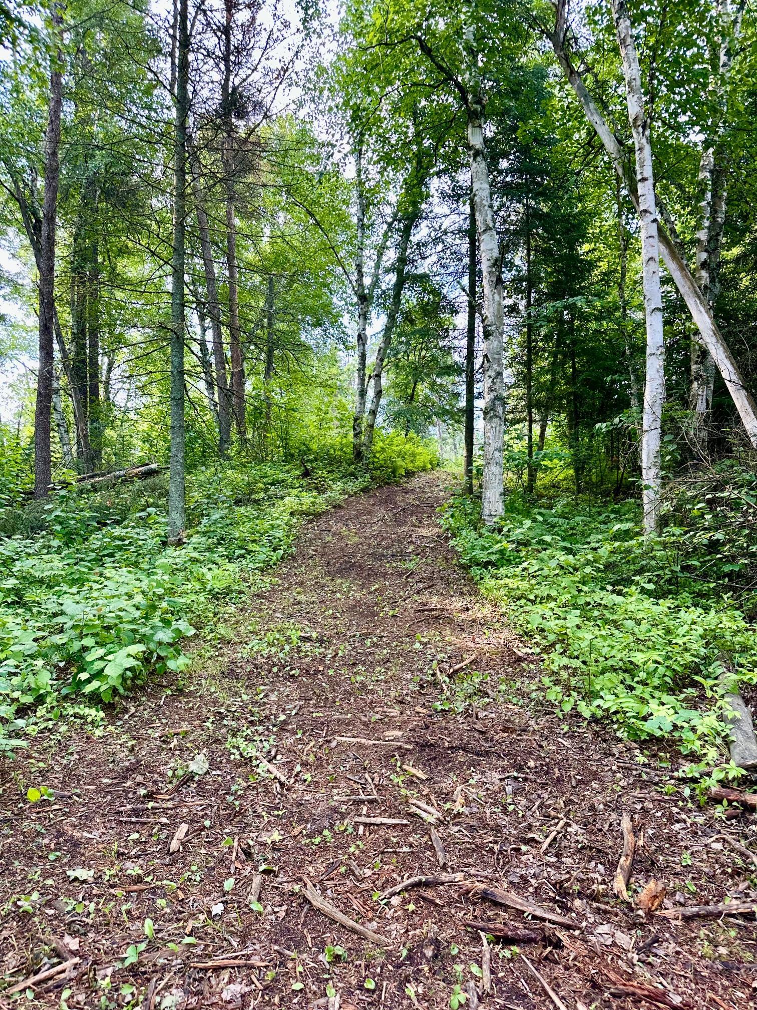 2016 single family home for sale at 21761 Bemis Hill Forest Road in Salol, MN — 1 bed, 2 bath (photo 43 of 50)