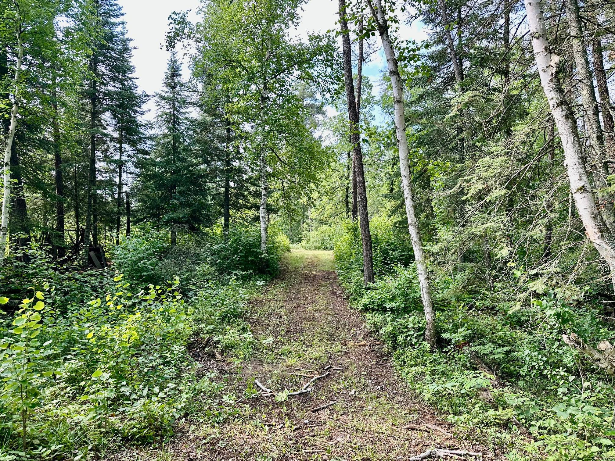 2016 single family home for sale at 21761 Bemis Hill Forest Road in Salol, MN — 1 bed, 2 bath (photo 44 of 50)