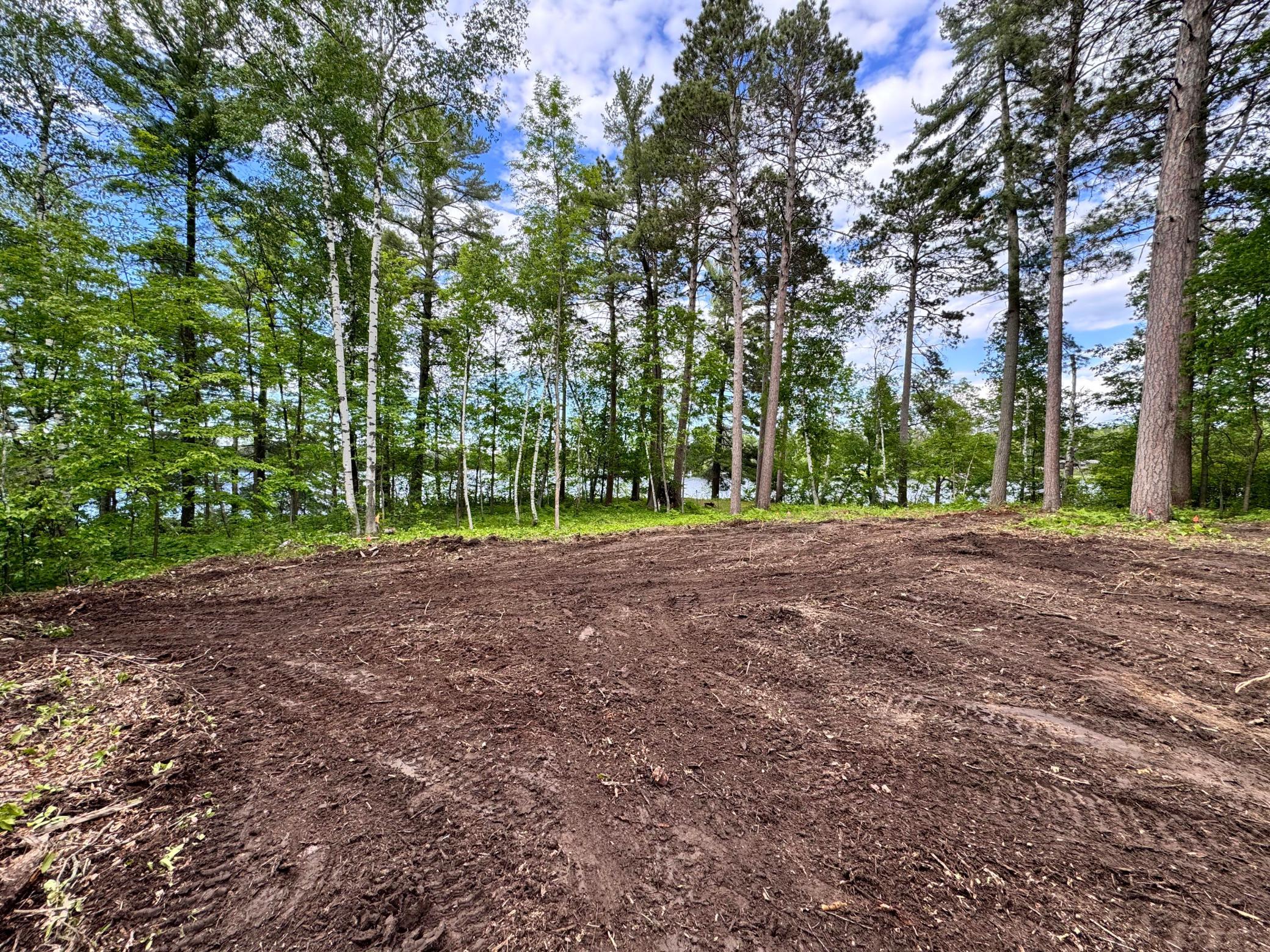 1218 Blue Heron Drive NW, Pine River MN 56474 - Photo 4 of 19