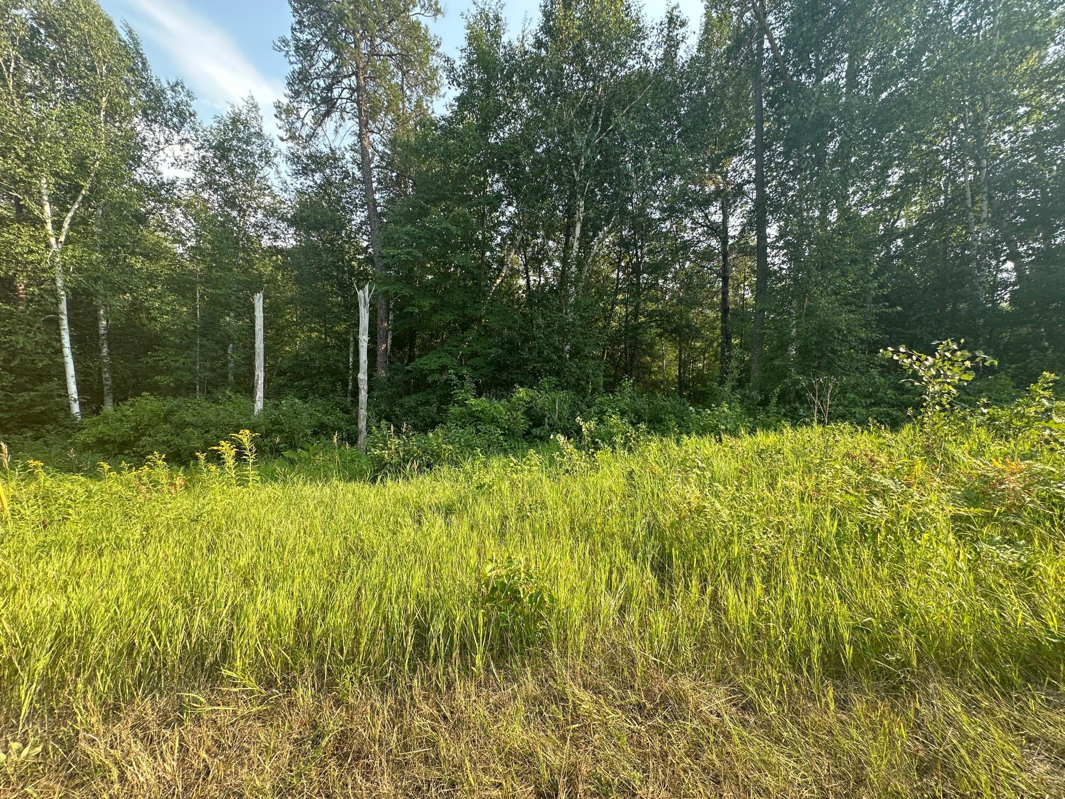 land for sale at TBD Ski Chalet Dr in Breezy Point, MN (photo 3 of 8)