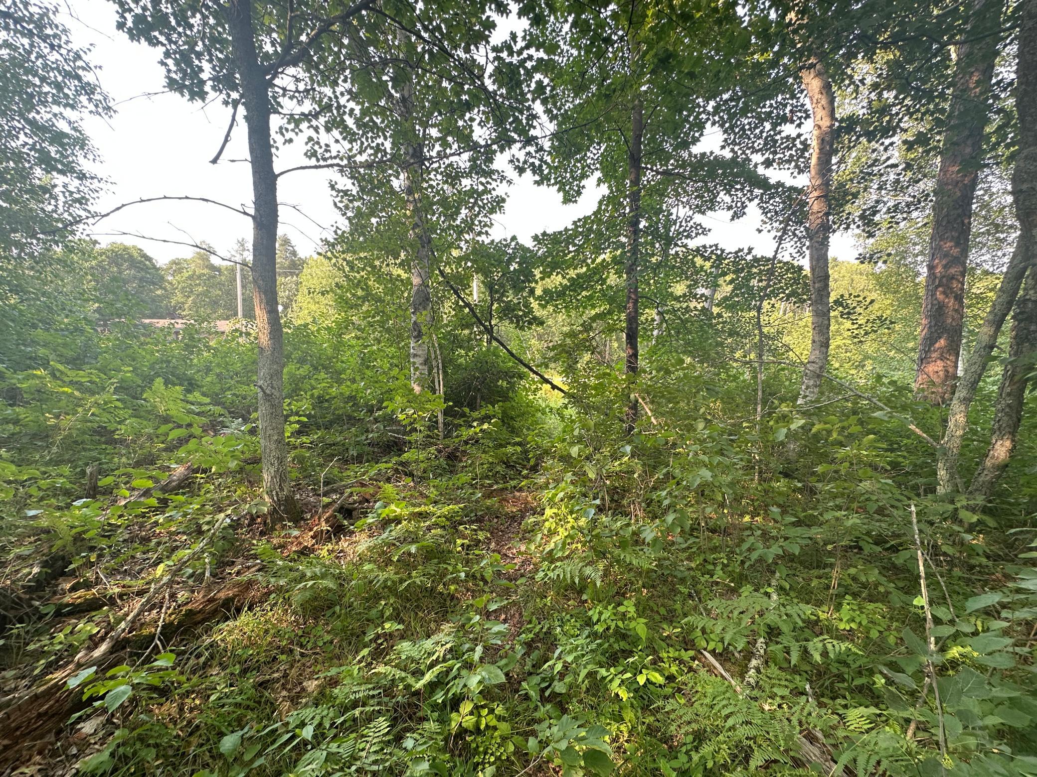land for sale at TBD Ski Chalet Dr in Breezy Point, MN (photo 4 of 8)