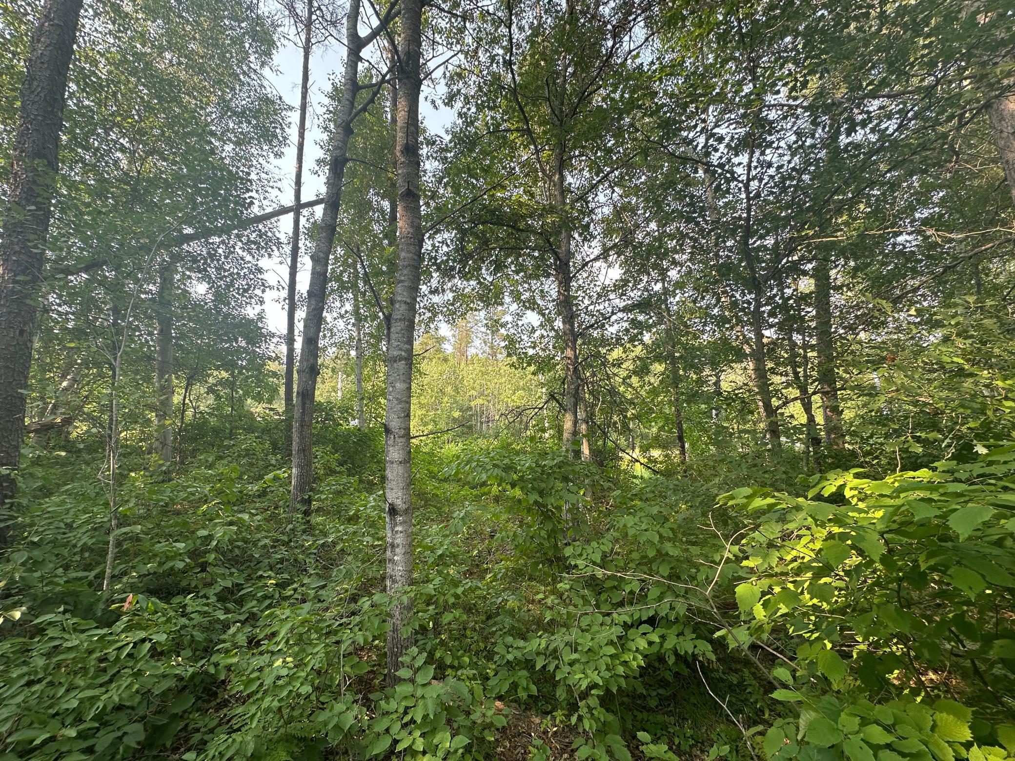 land for sale at TBD Ski Chalet Dr in Breezy Point, MN (photo 5 of 8)