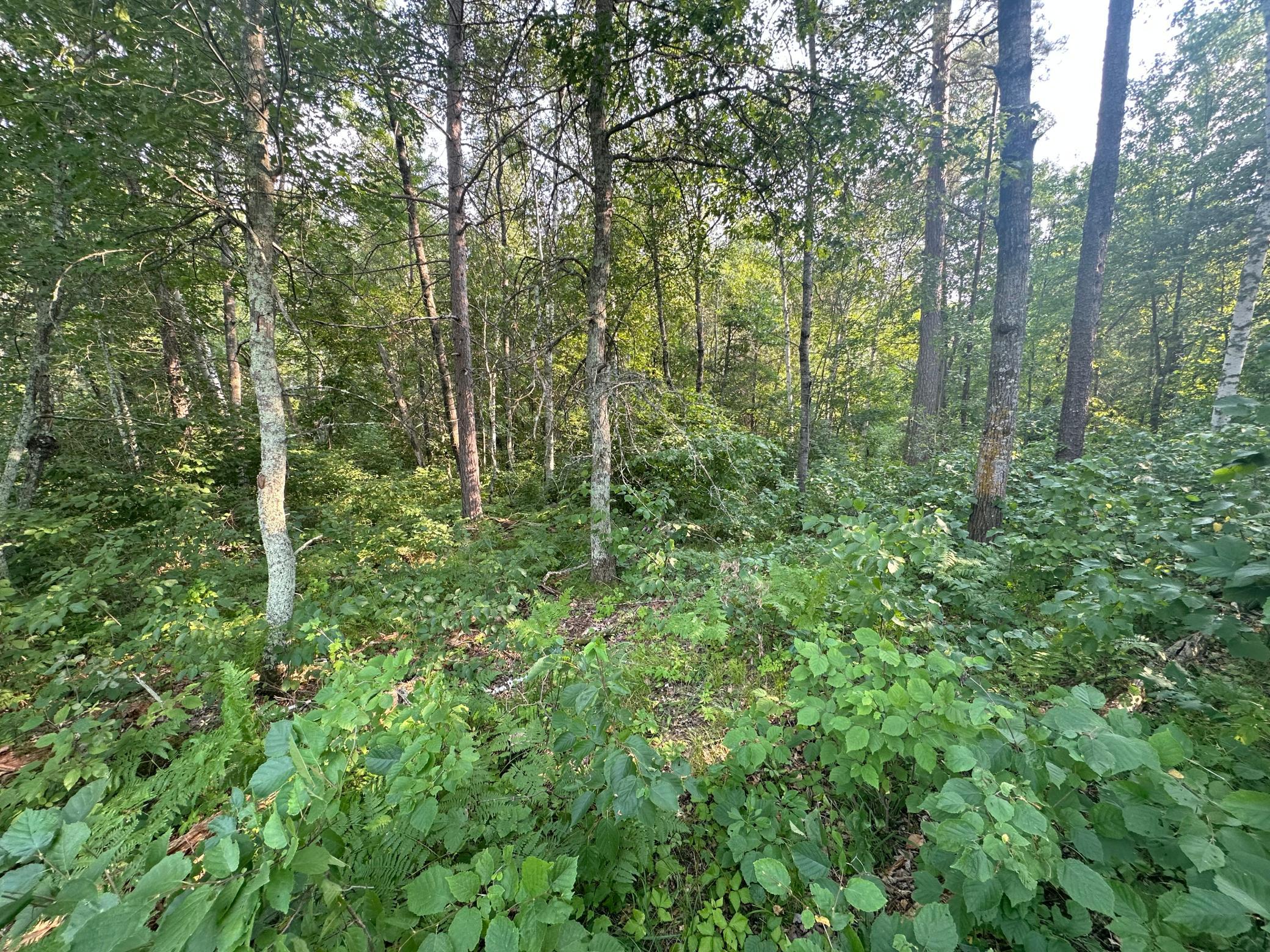 land for sale at TBD Ski Chalet Dr in Breezy Point, MN (photo 7 of 8)