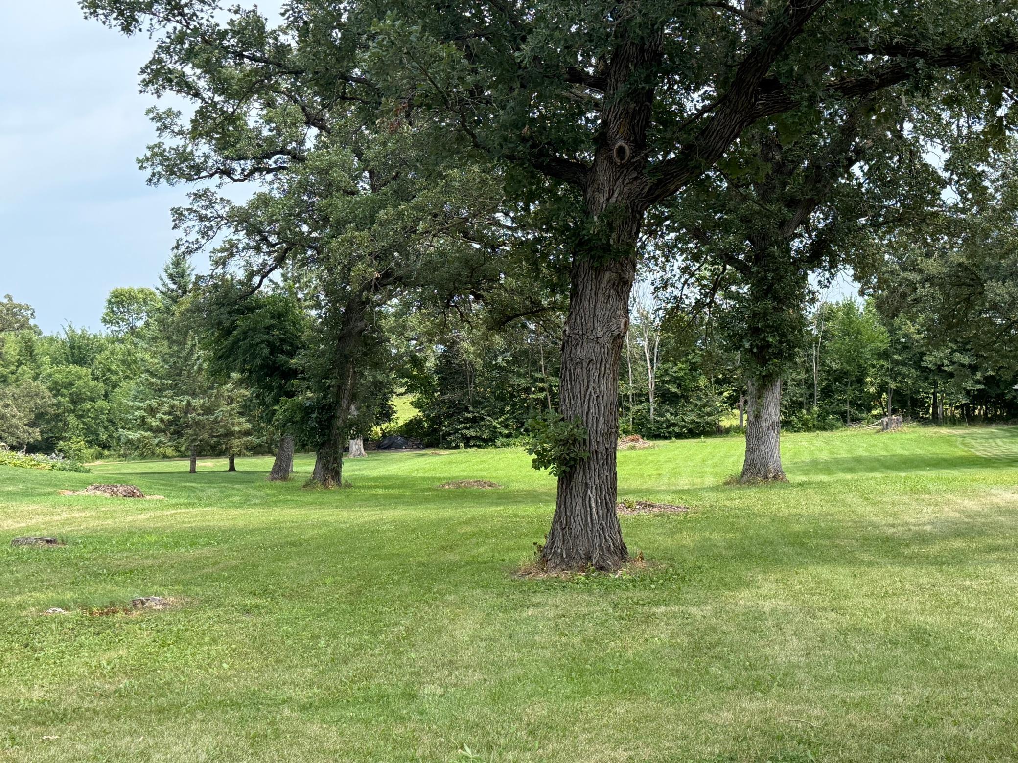 land for sale at 1806 Minnehuta Drive in Fergus Falls, MN (photo 4 of 19)