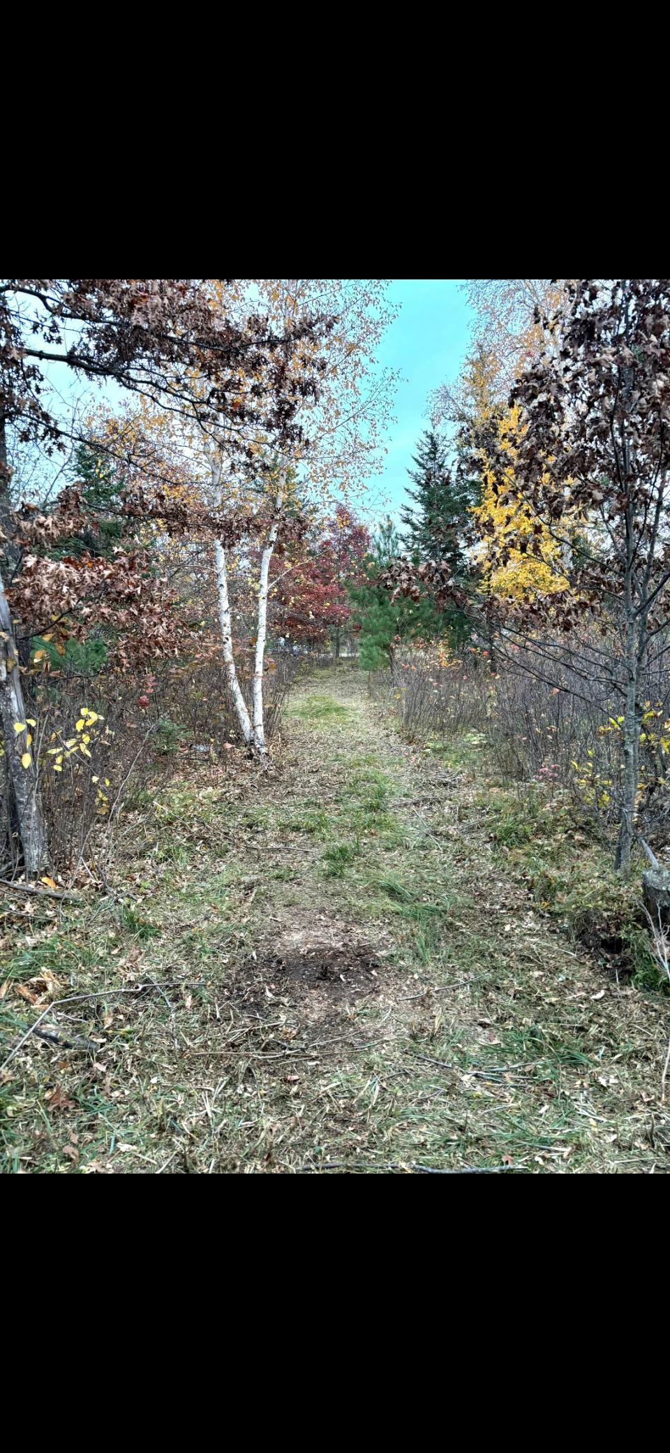 land for sale at TBD TBD in Bemidji, MN (photo 11 of 11)