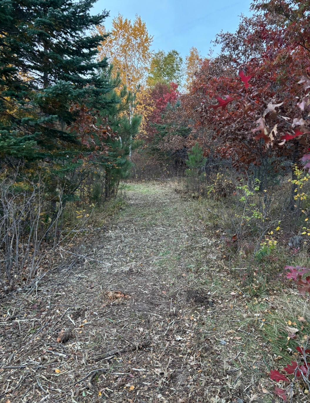 land for sale at TBD TBD in Bemidji, MN (photo 10 of 11)