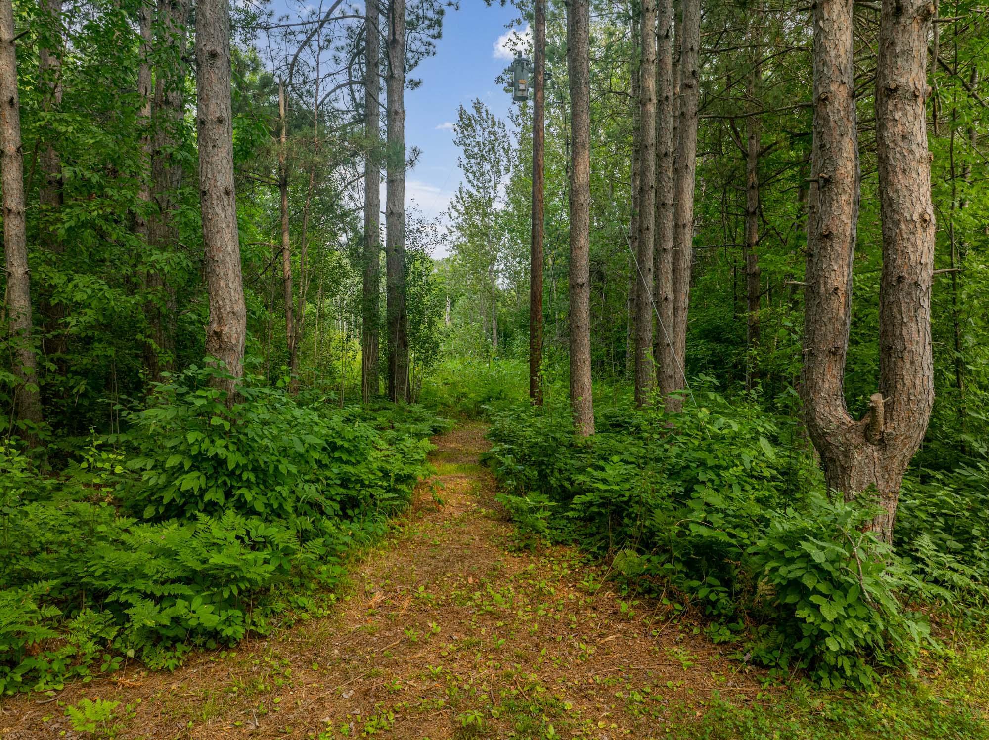 land for sale at TBD Hanson Lake Rd in Grand Rapids, MN (photo 2 of 18)