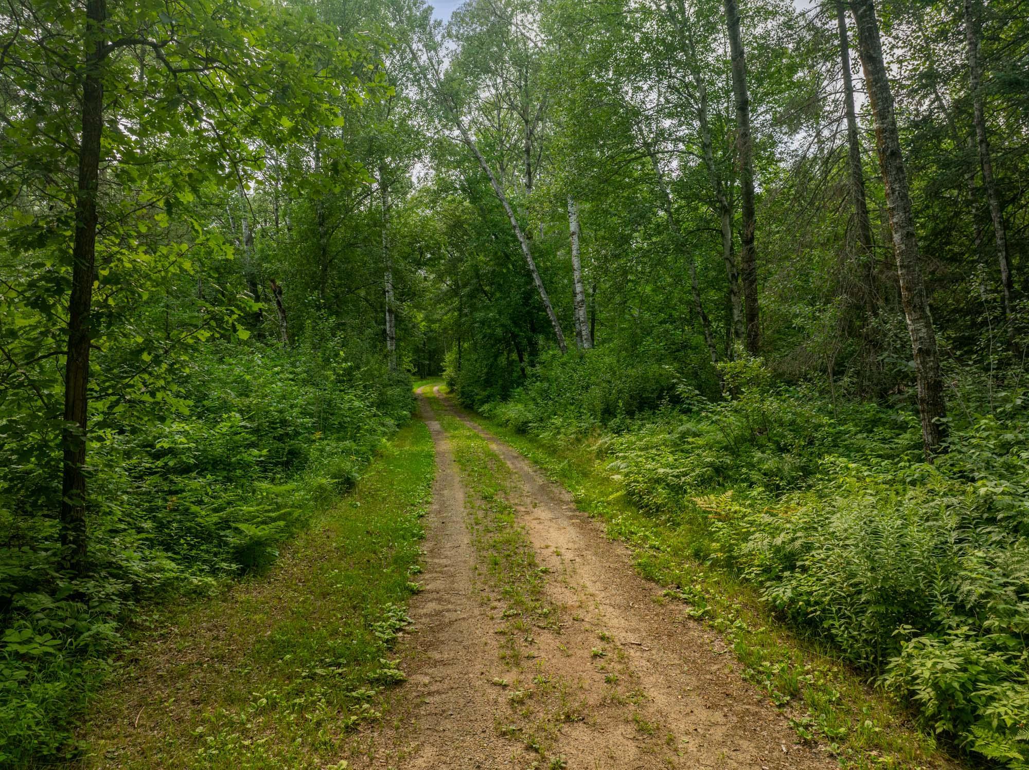 land for sale at TBD Hanson Lake Rd in Grand Rapids, MN (photo 7 of 18)