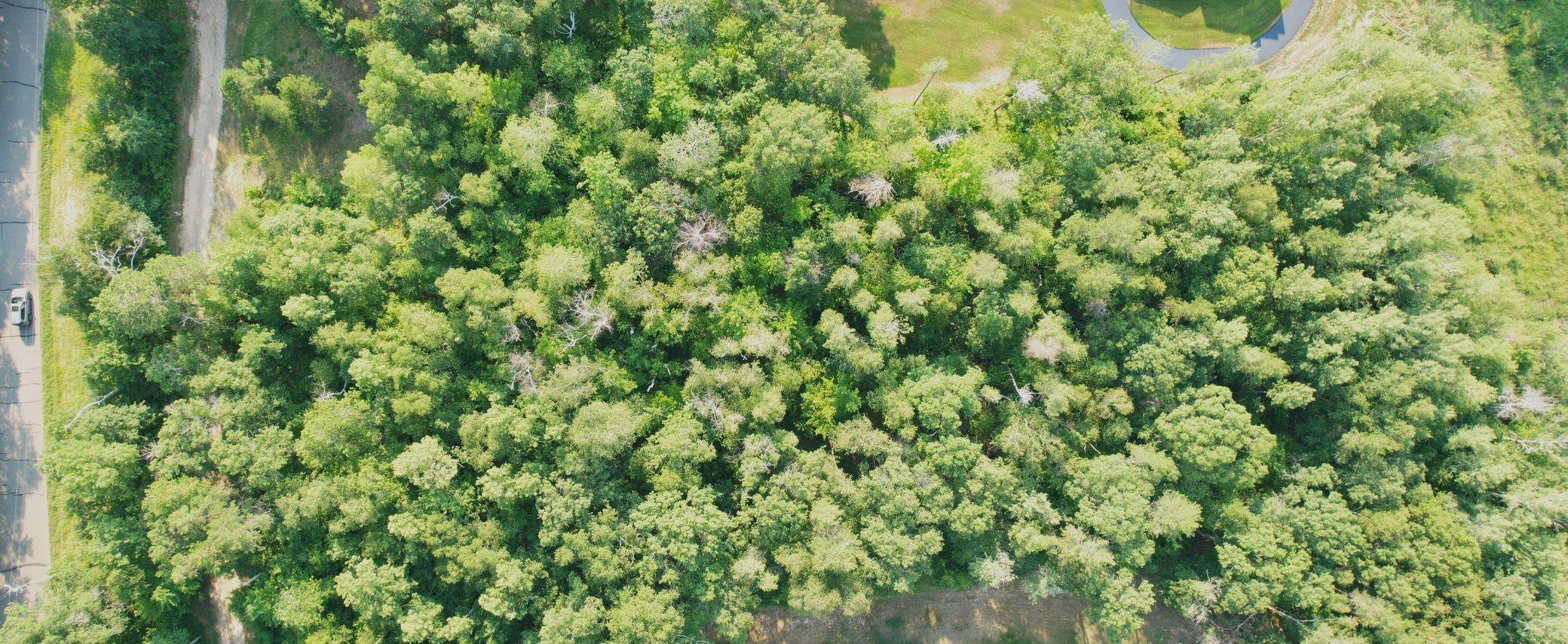 TBD Solitude Way, Merrifield MN 56465 - Photo 6 of 7