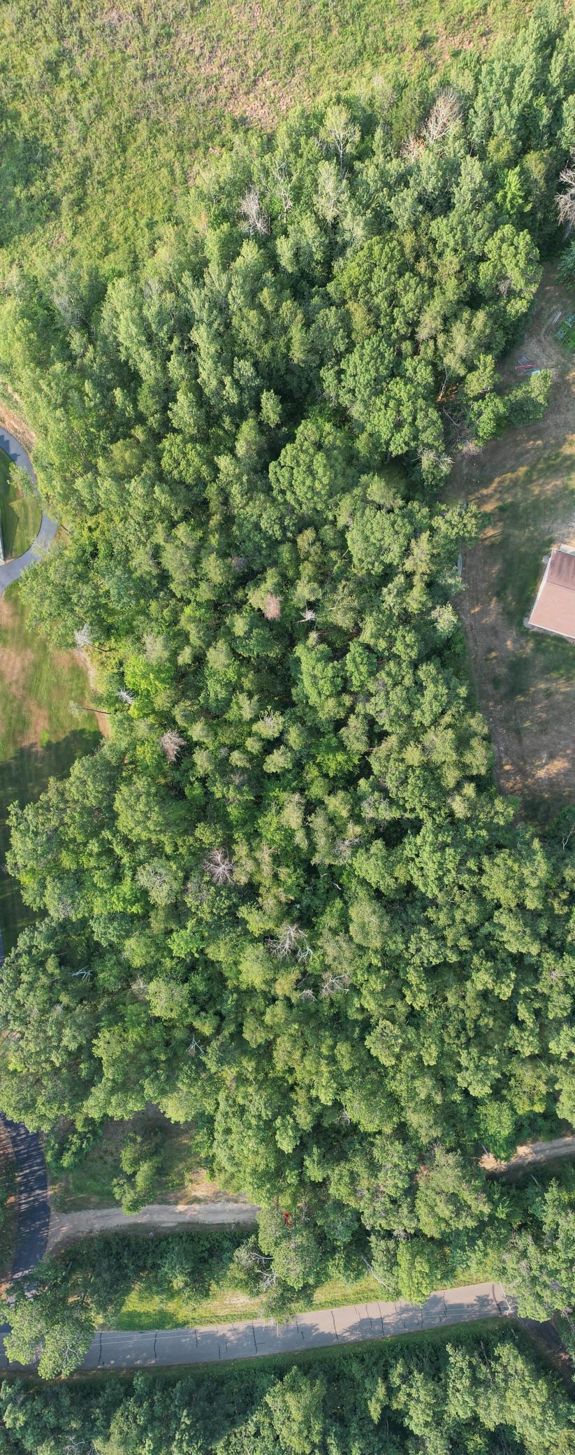 TBD Solitude Way, Merrifield MN 56465 - Photo 7 of 7