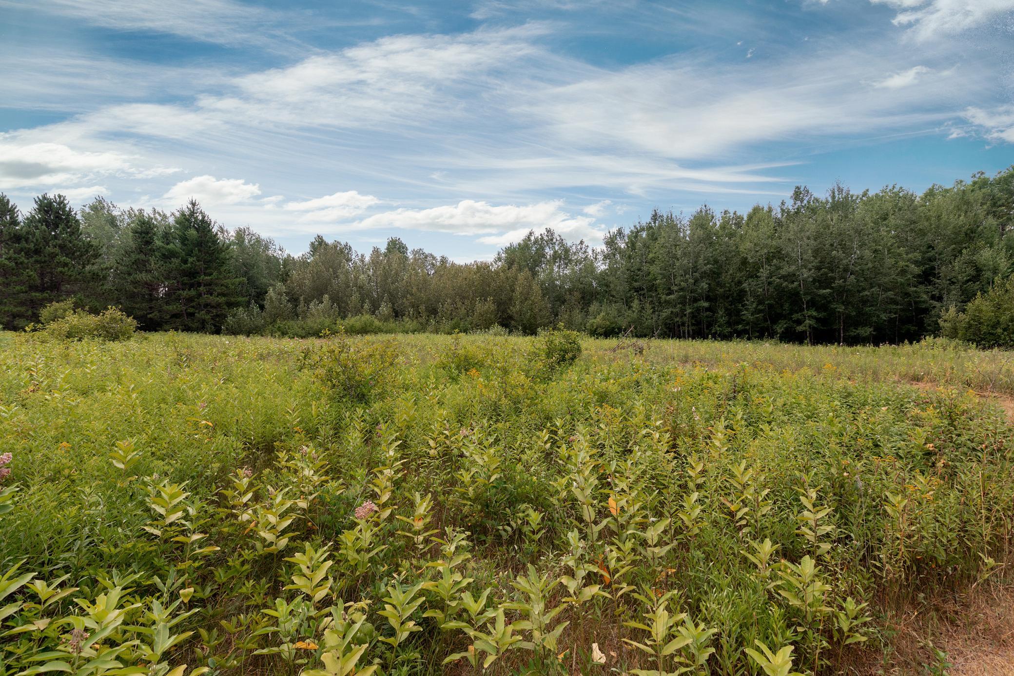 2012 land for sale at 57865 Great River Road in Palisade, MN (photo 19 of 19)