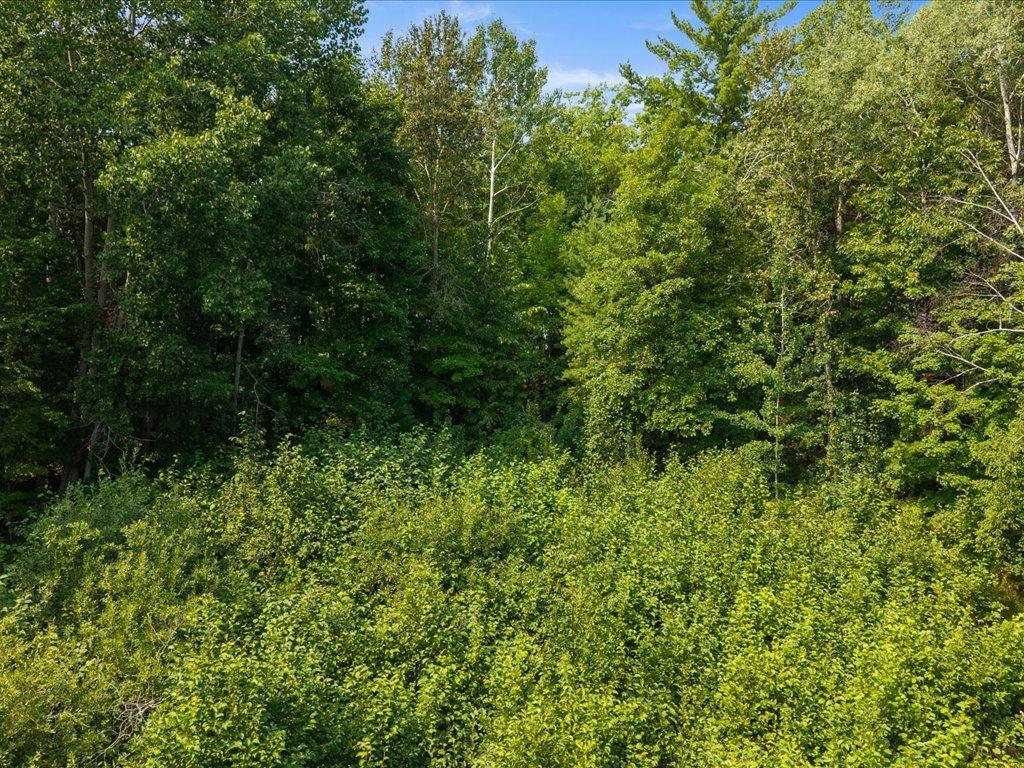 land for sale at TBD Breezy Point Road NW in Walker, MN (photo 12 of 15)