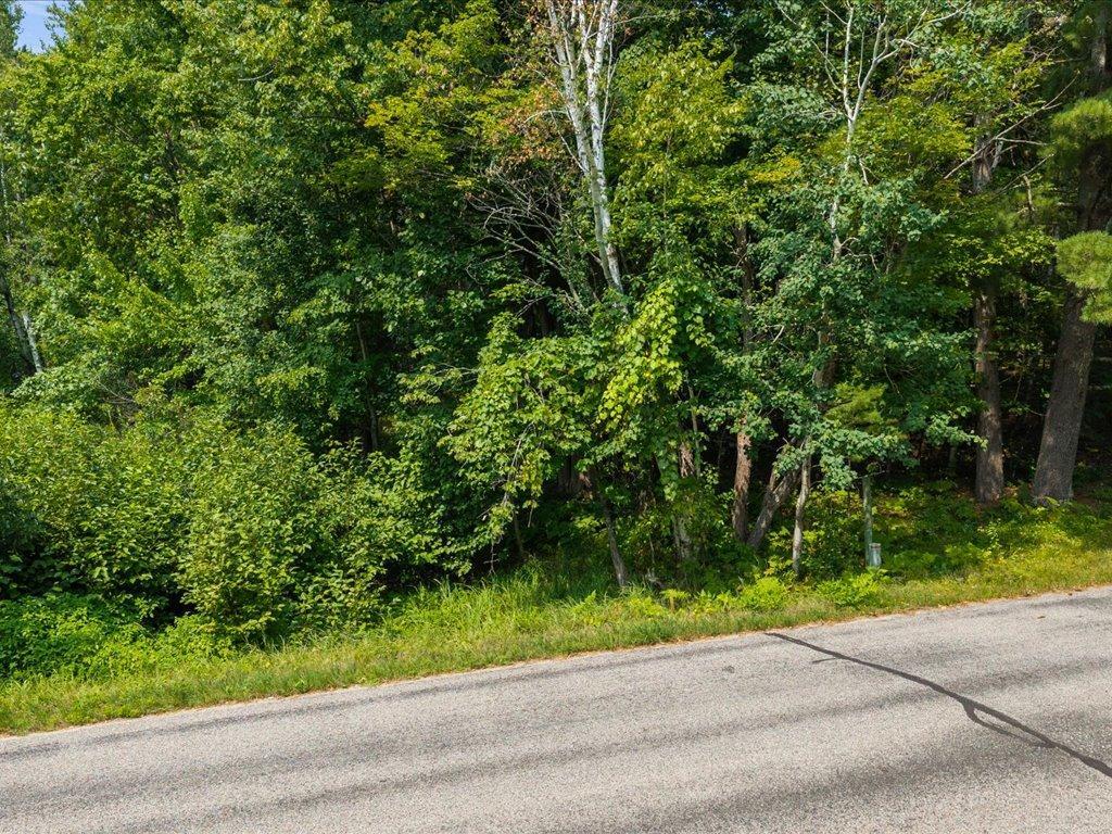 land for sale at TBD Breezy Point Road NW in Walker, MN (photo 15 of 15)
