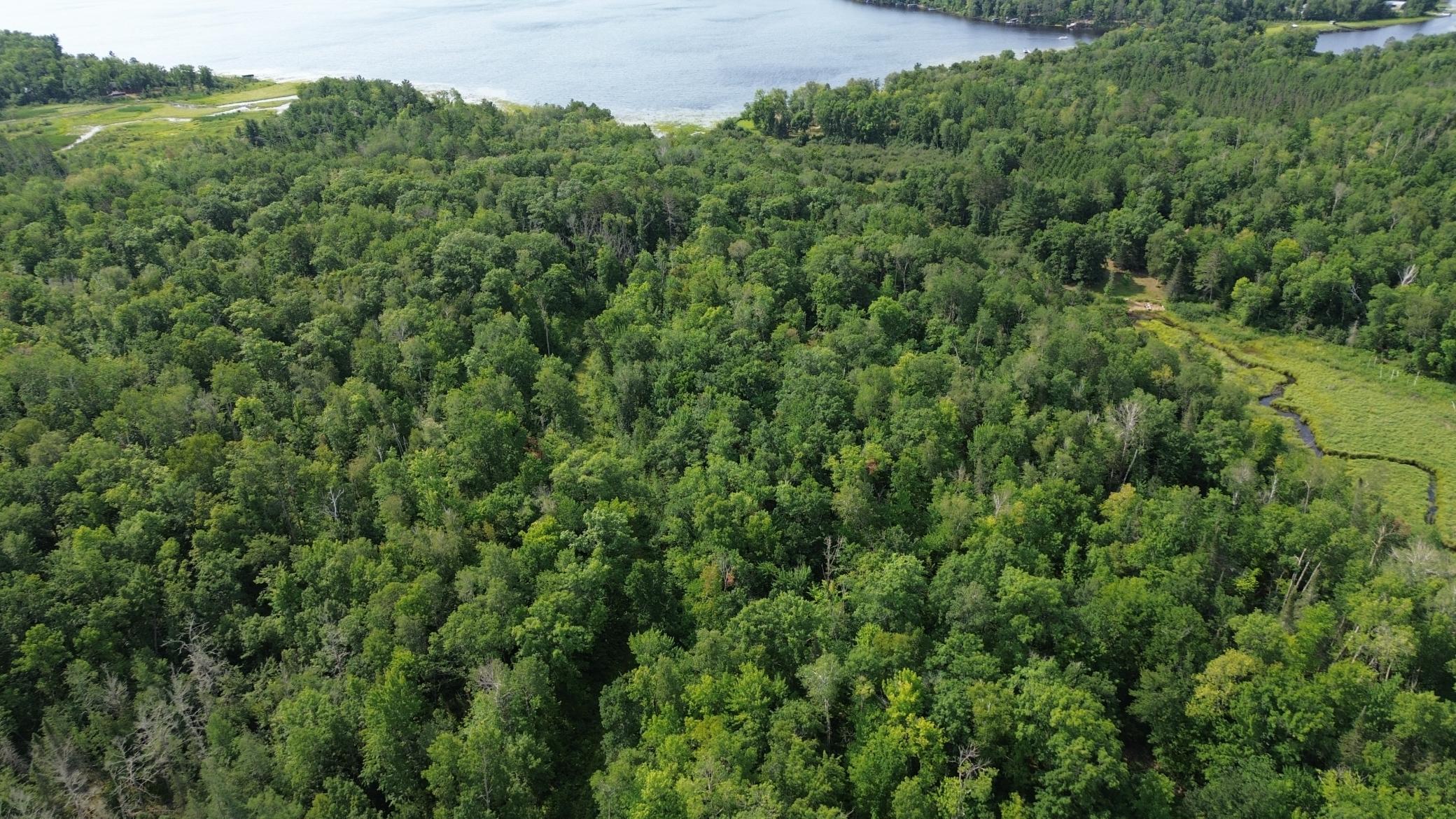 land for sale at 22751 County Road 1 in Emily, MN