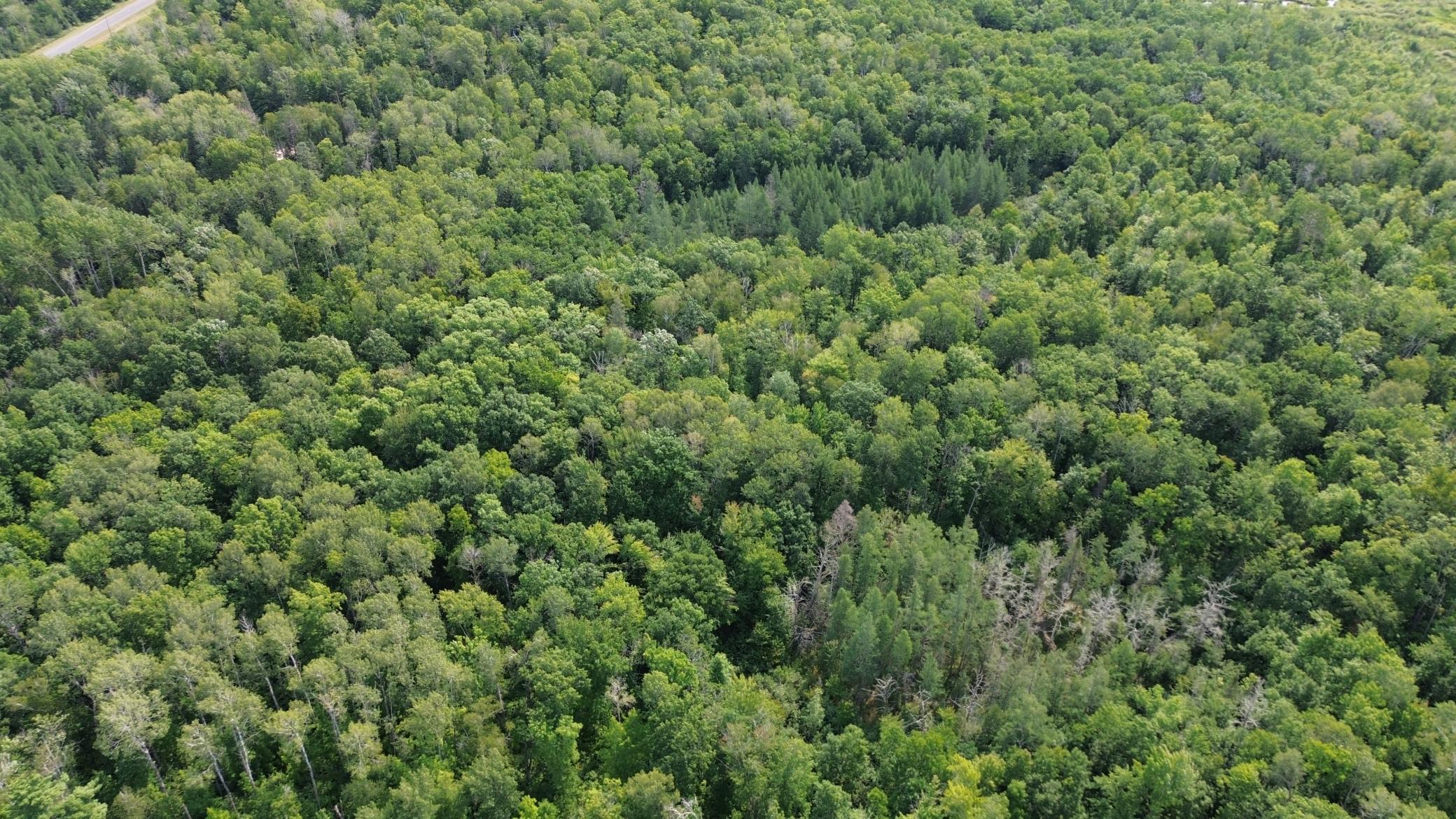 land for sale at 22751 County Road 1 in Emily, MN (photo 2 of 5)