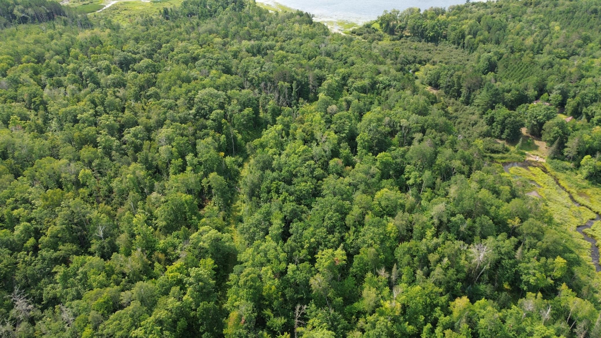 land for sale at 22751 County Road 1 in Emily, MN (photo 4 of 5)