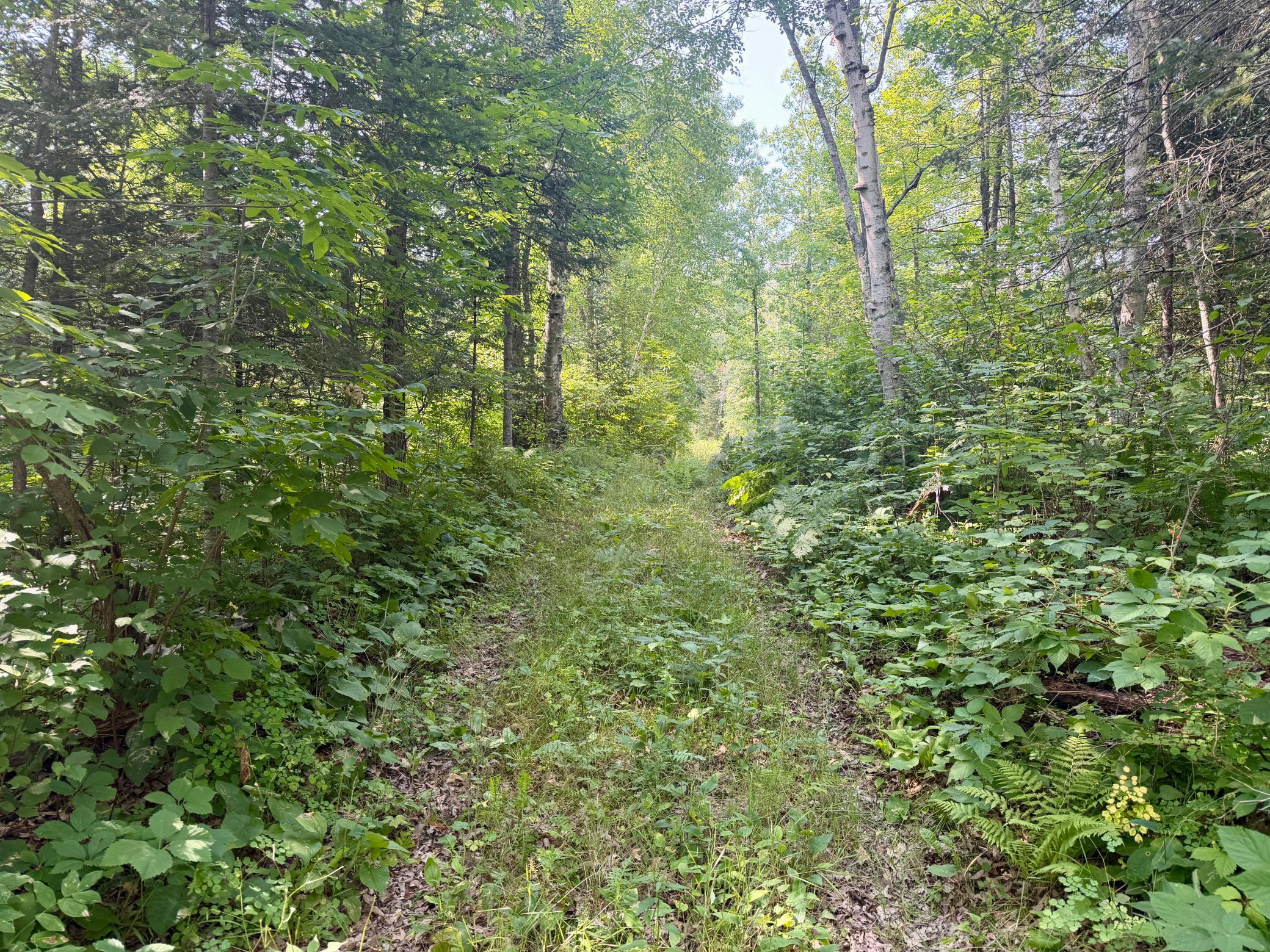 land for sale at 22751 County Road 1 in Emily, MN (photo 5 of 5)