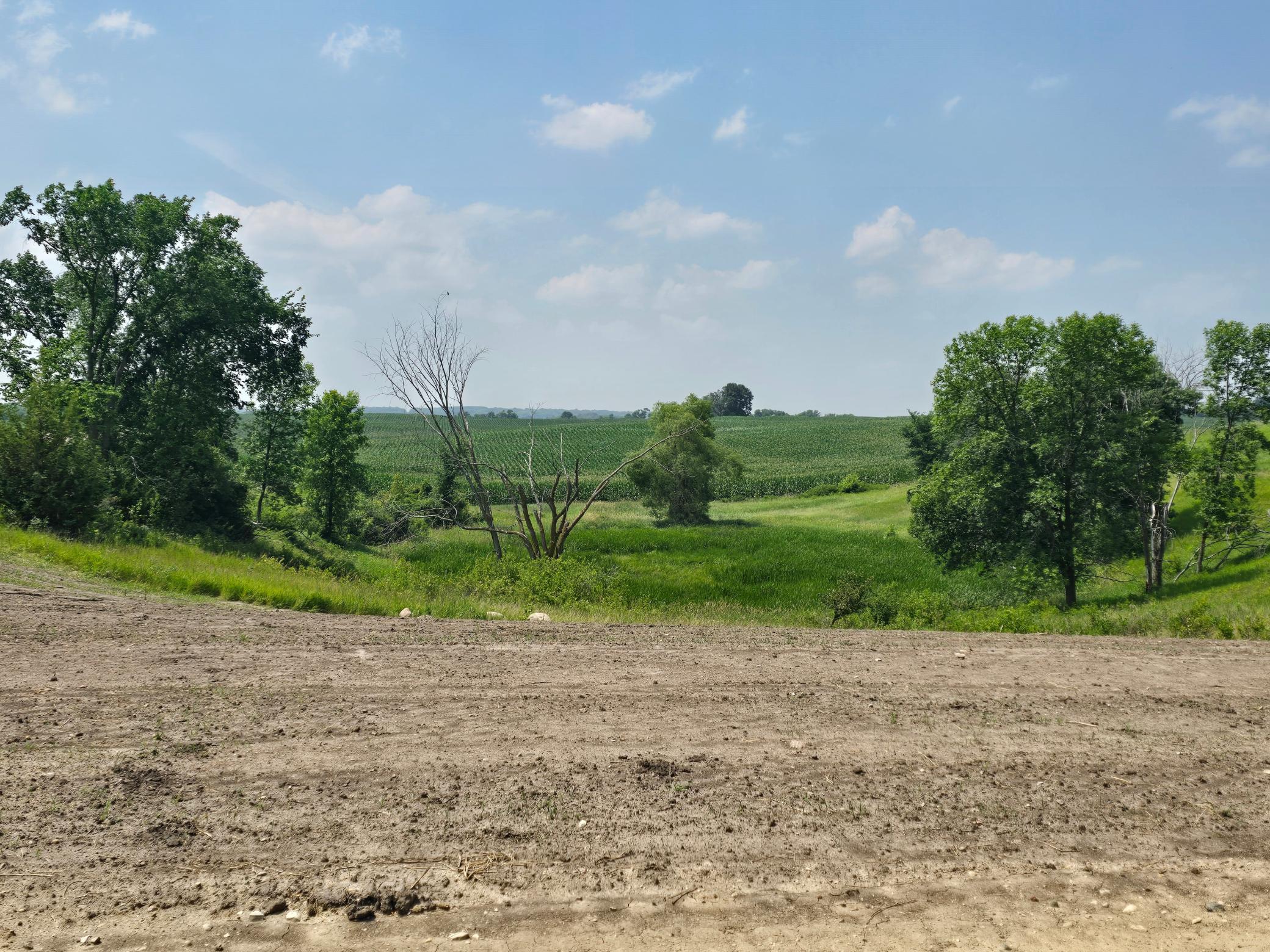 land for sale at 13114 County Highway 15 in Detroit Lakes, MN (photo 4 of 15)