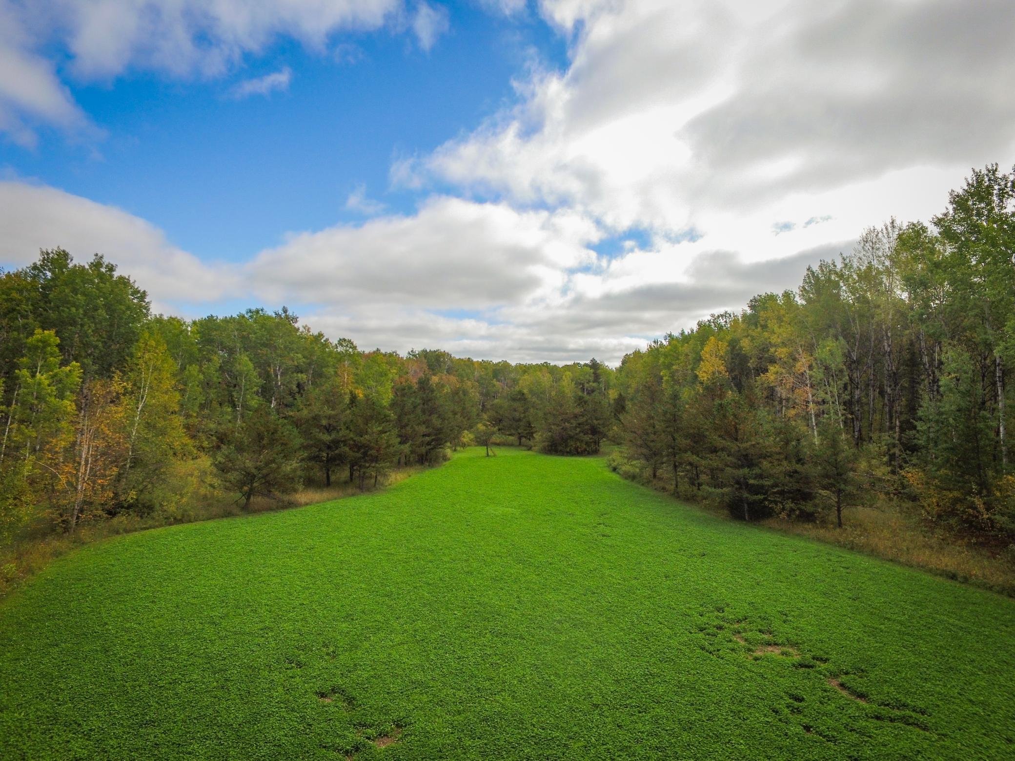 2007 single family home for sale at TBD 120th Street in Wannaska, MN — 2 bed, 1 bath (photo 2 of 23)