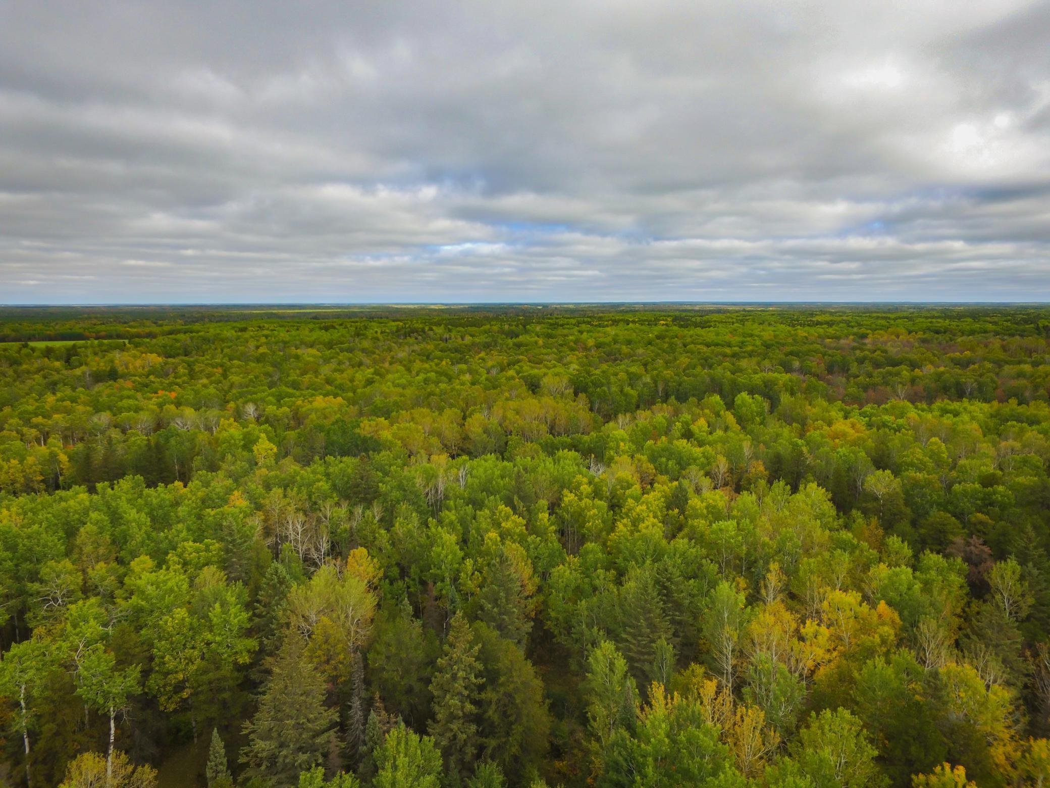 2007 single family home for sale at TBD 120th Street in Wannaska, MN — 2 bed, 1 bath (photo 16 of 23)