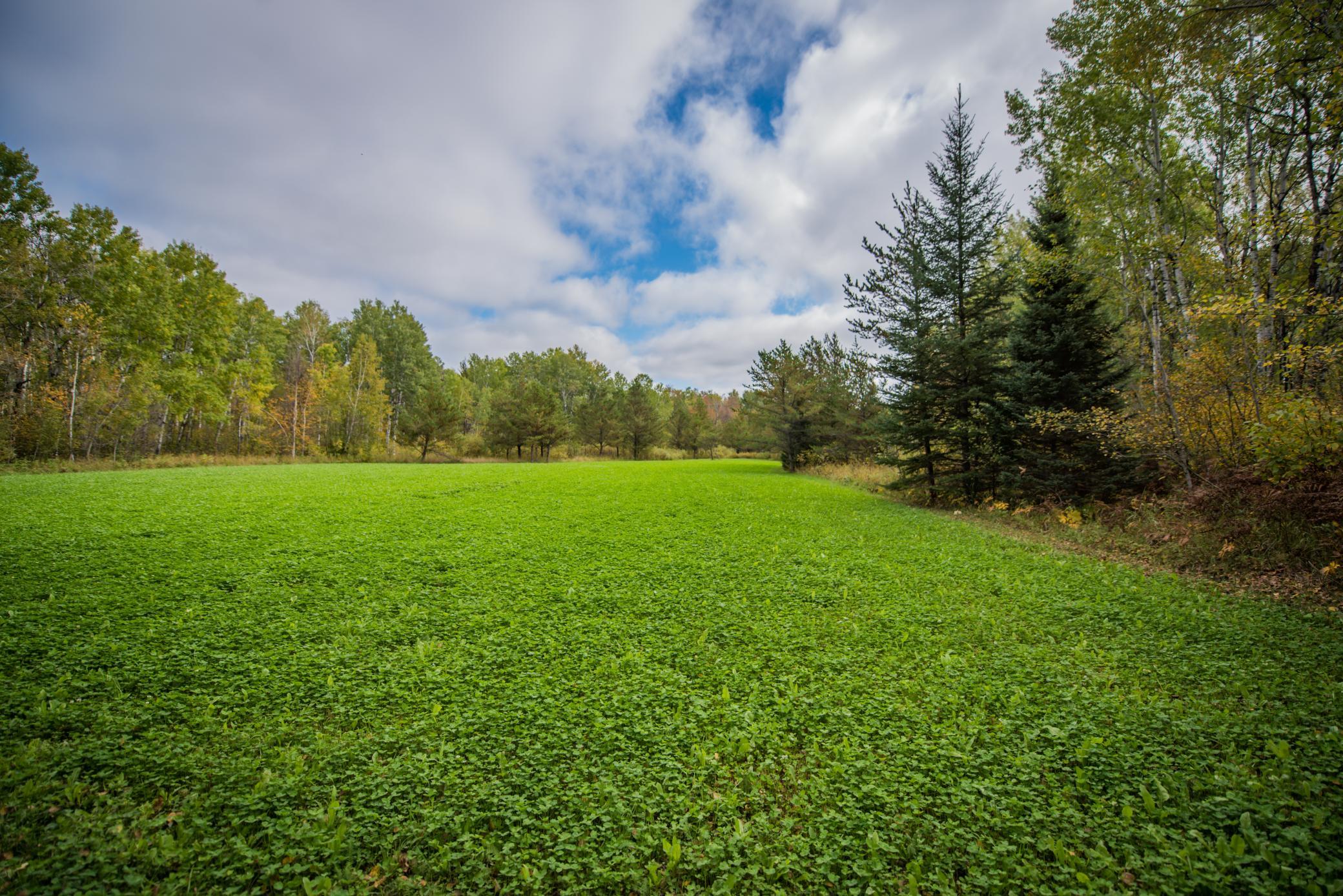 2007 single family home for sale at TBD 120th Street in Wannaska, MN — 2 bed, 1 bath (photo 18 of 23)