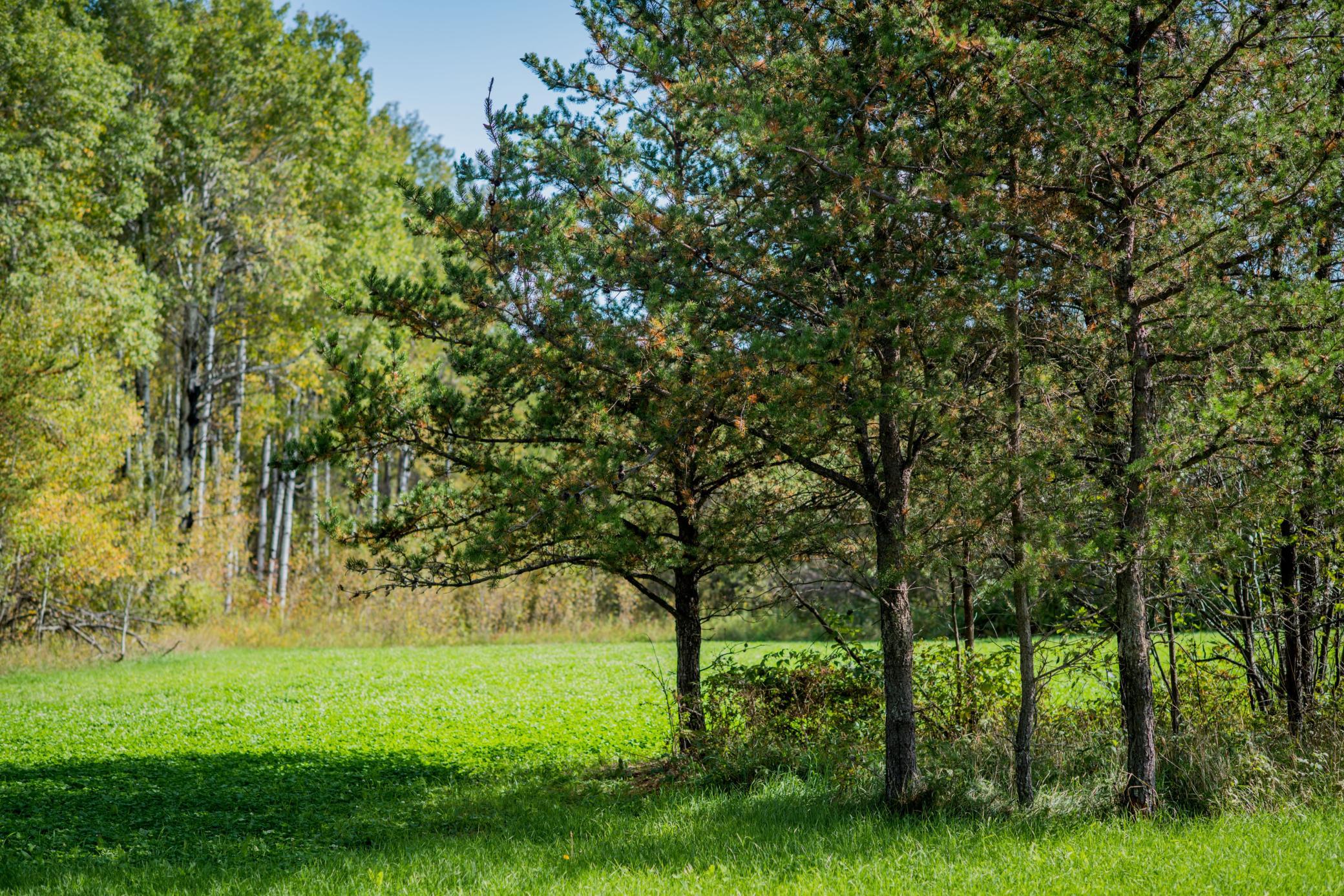 2007 single family home for sale at TBD 120th Street in Wannaska, MN — 2 bed, 1 bath (photo 22 of 23)