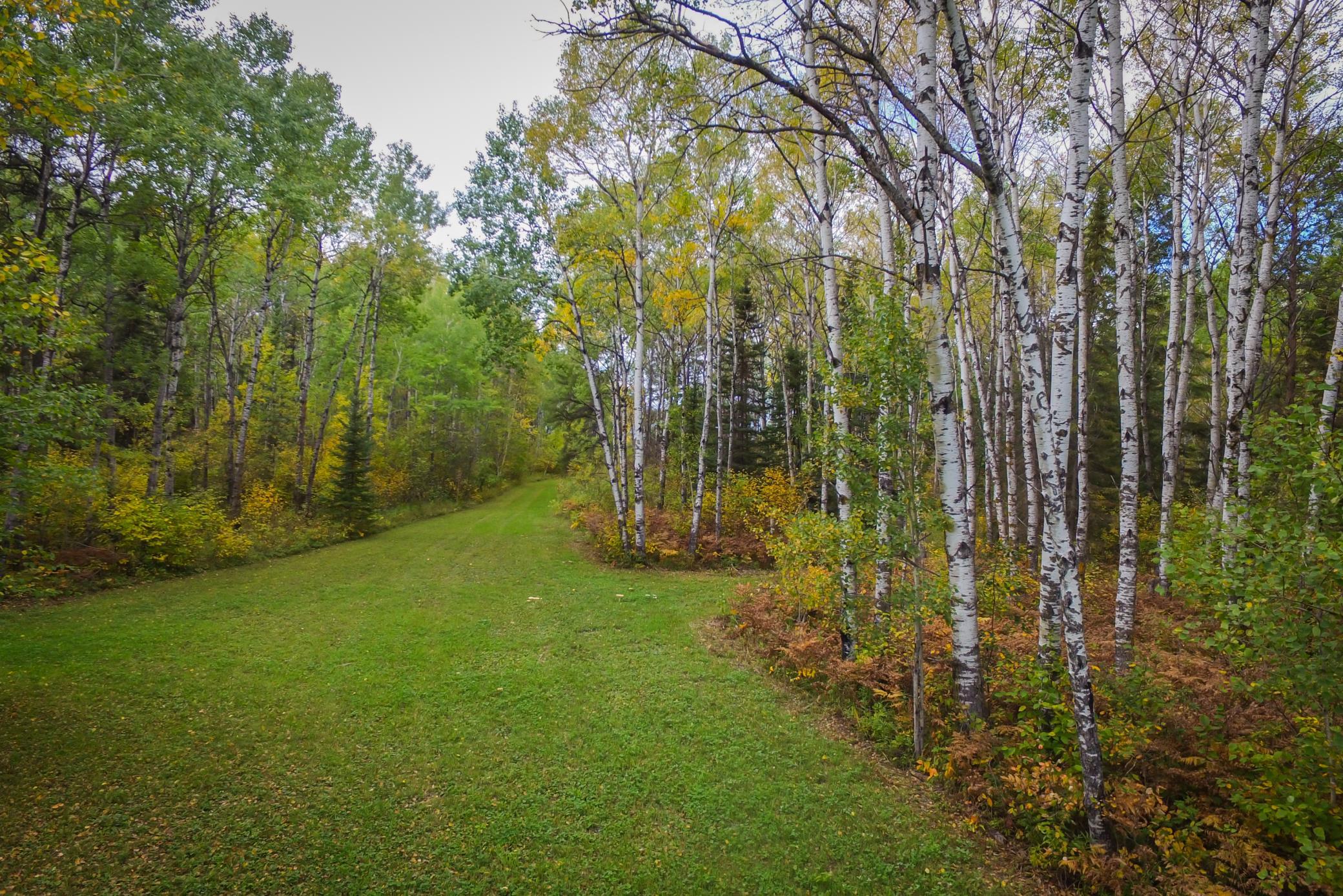 2007 single family home for sale at TBD 120th Street in Wannaska, MN — 2 bed, 1 bath (photo 8 of 23)