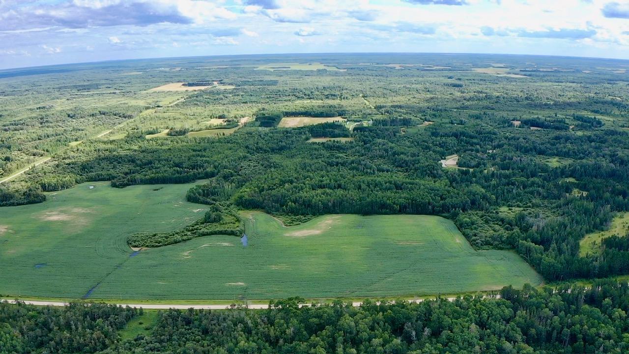 land for sale at _ County Road 19 in Roseau, MN (photo 2 of 15)