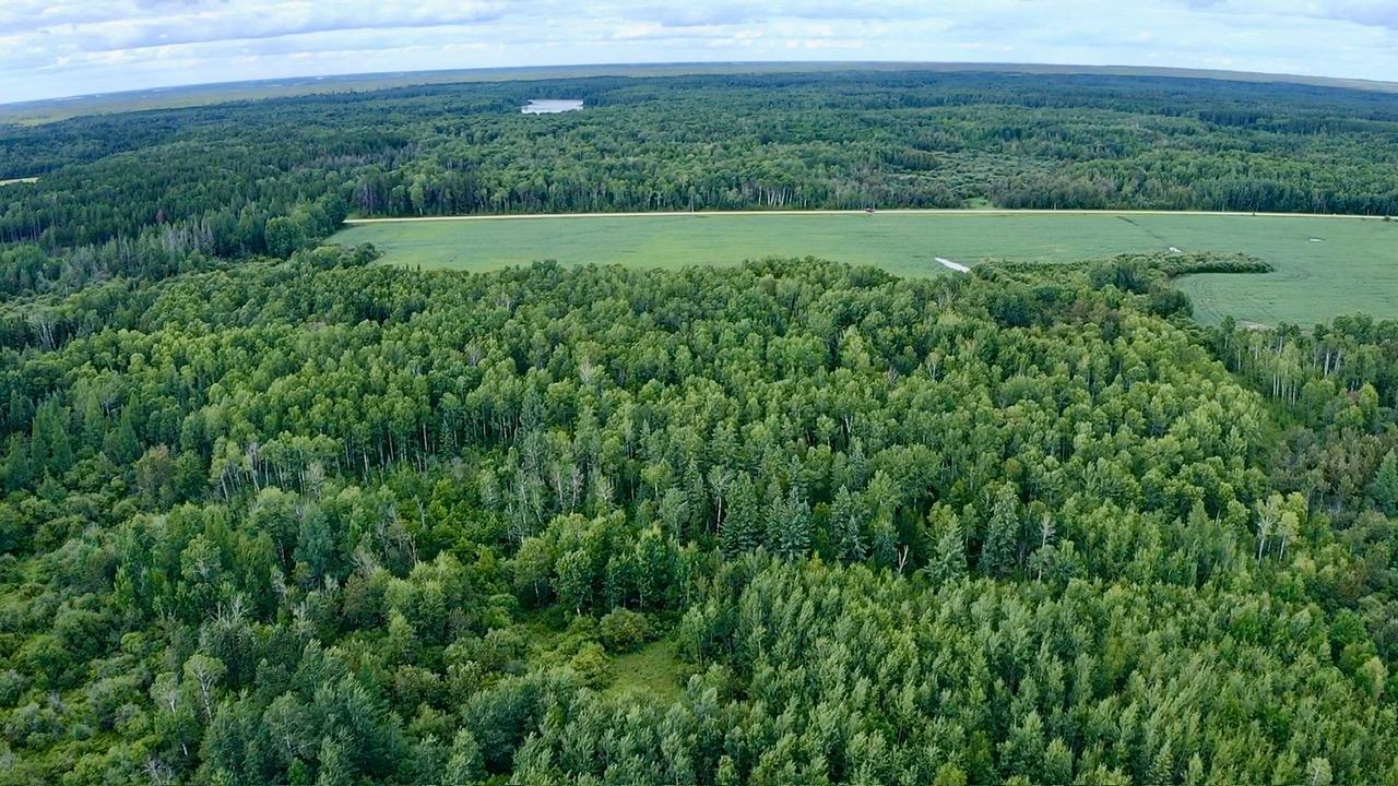 land for sale at _ County Road 19 in Roseau, MN (photo 11 of 15)