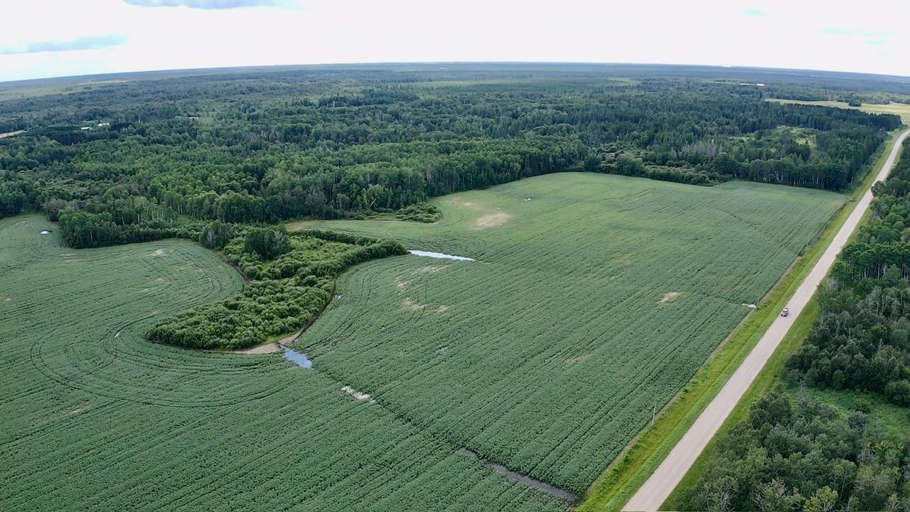 land for sale at _ County Road 19 in Roseau, MN (photo 12 of 15)