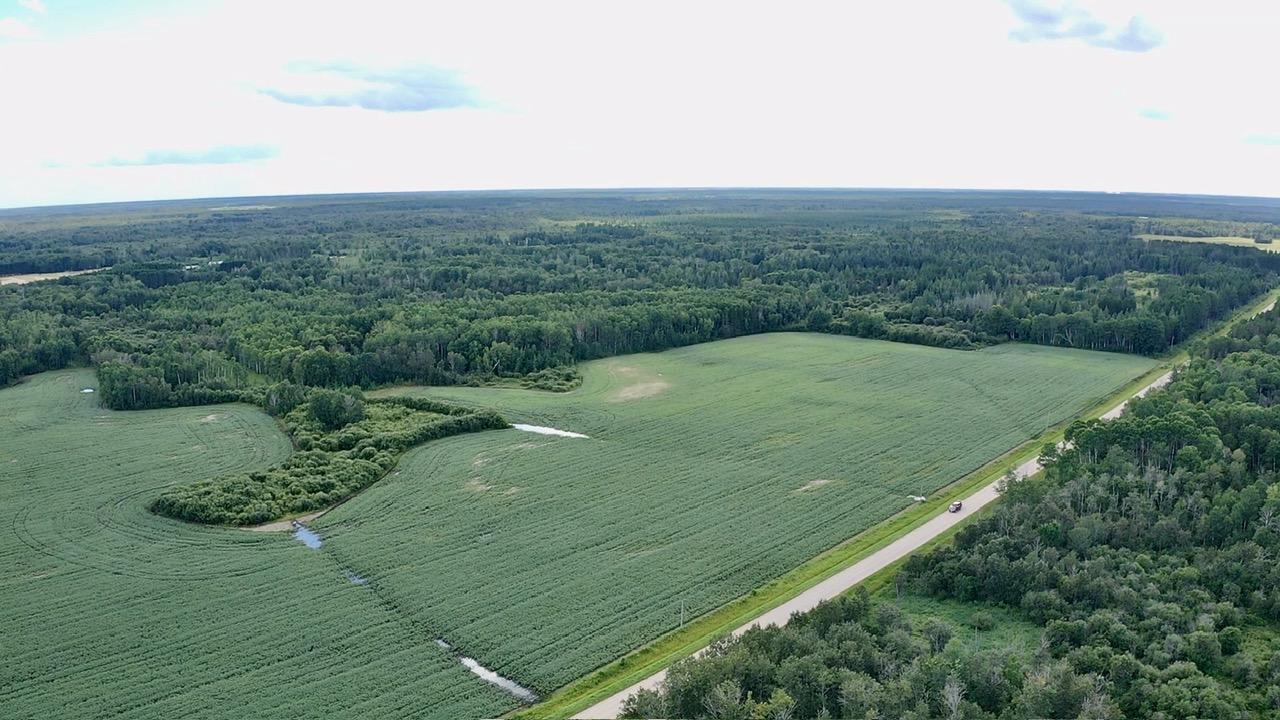 land for sale at _ County Road 19 in Roseau, MN (photo 13 of 15)