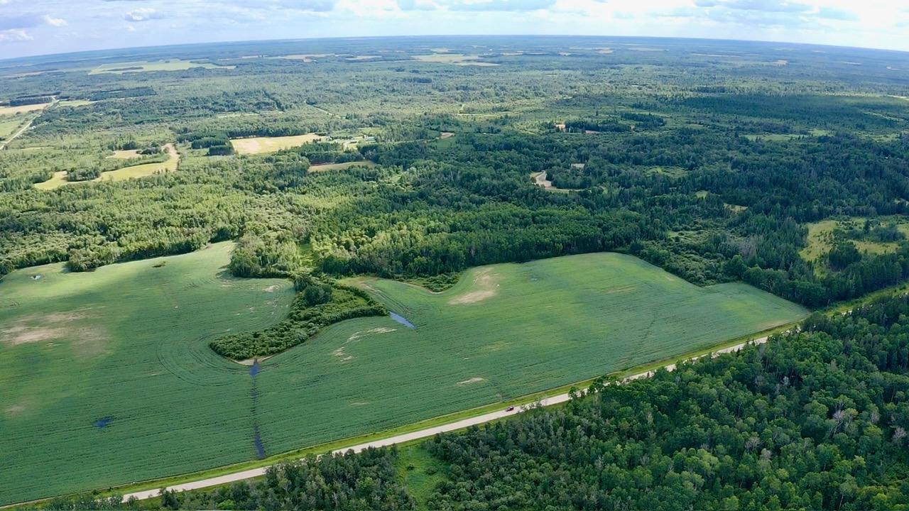 land for sale at _ County Road 19 in Roseau, MN (photo 3 of 15)