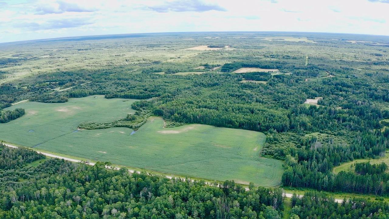 land for sale at _ County Road 19 in Roseau, MN (photo 5 of 15)