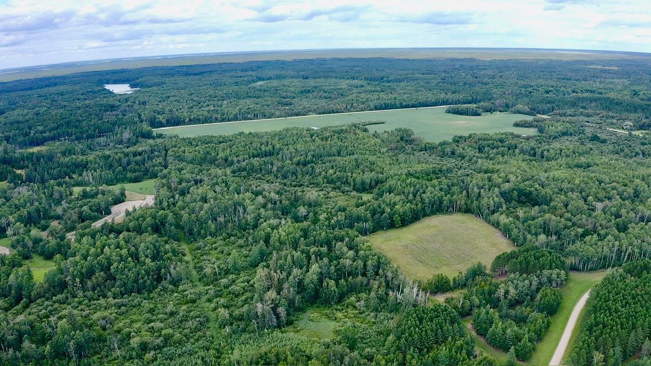 land for sale at _ County Road 19 in Roseau, MN (photo 6 of 15)