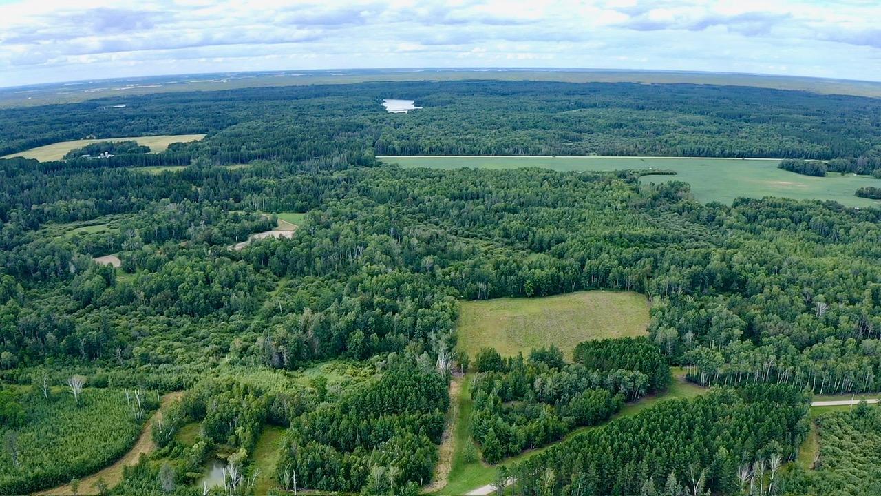 land for sale at _ County Road 19 in Roseau, MN (photo 7 of 15)