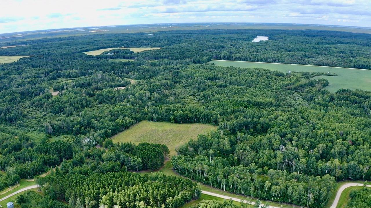 land for sale at _ County Road 19 in Roseau, MN (photo 9 of 15)