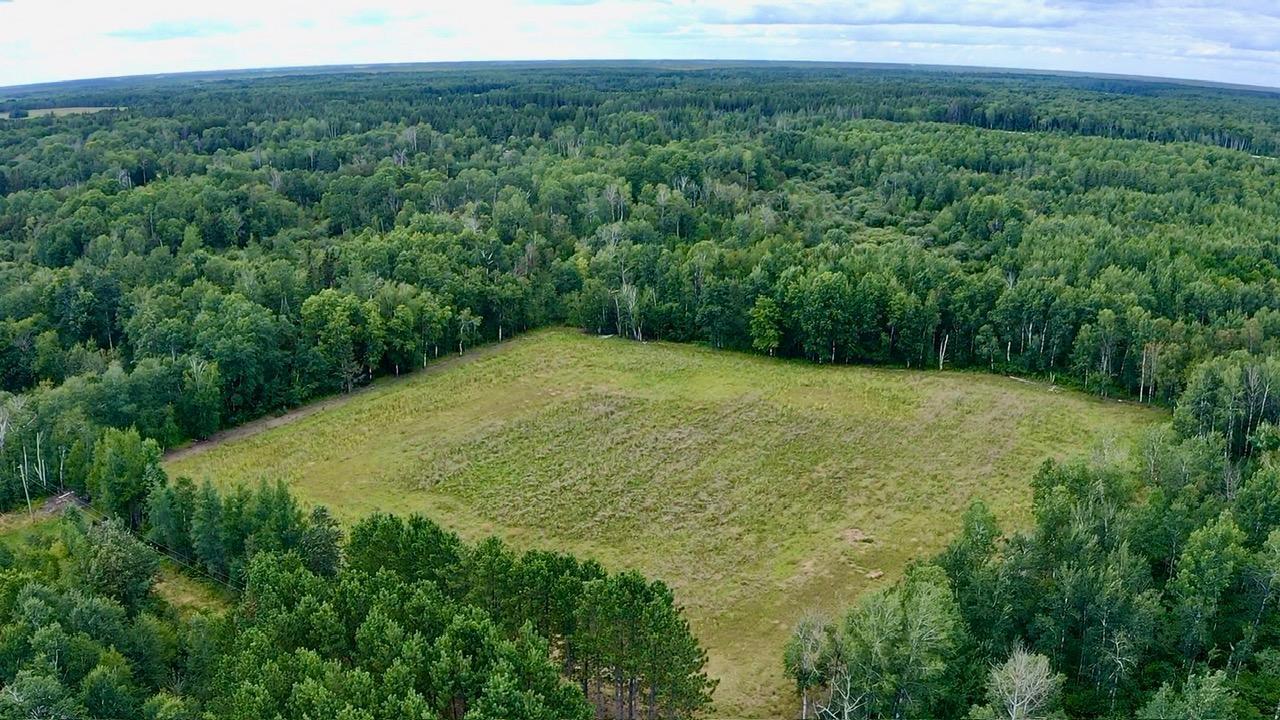 land for sale at _ County Road 19 in Roseau, MN (photo 10 of 15)