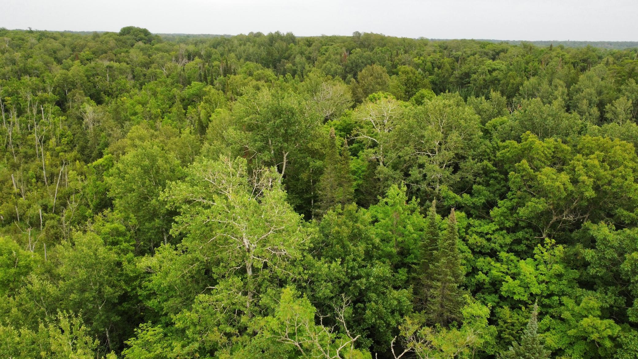 15512 Highway 27, McGregor MN 55760 - Photo 26 of 46