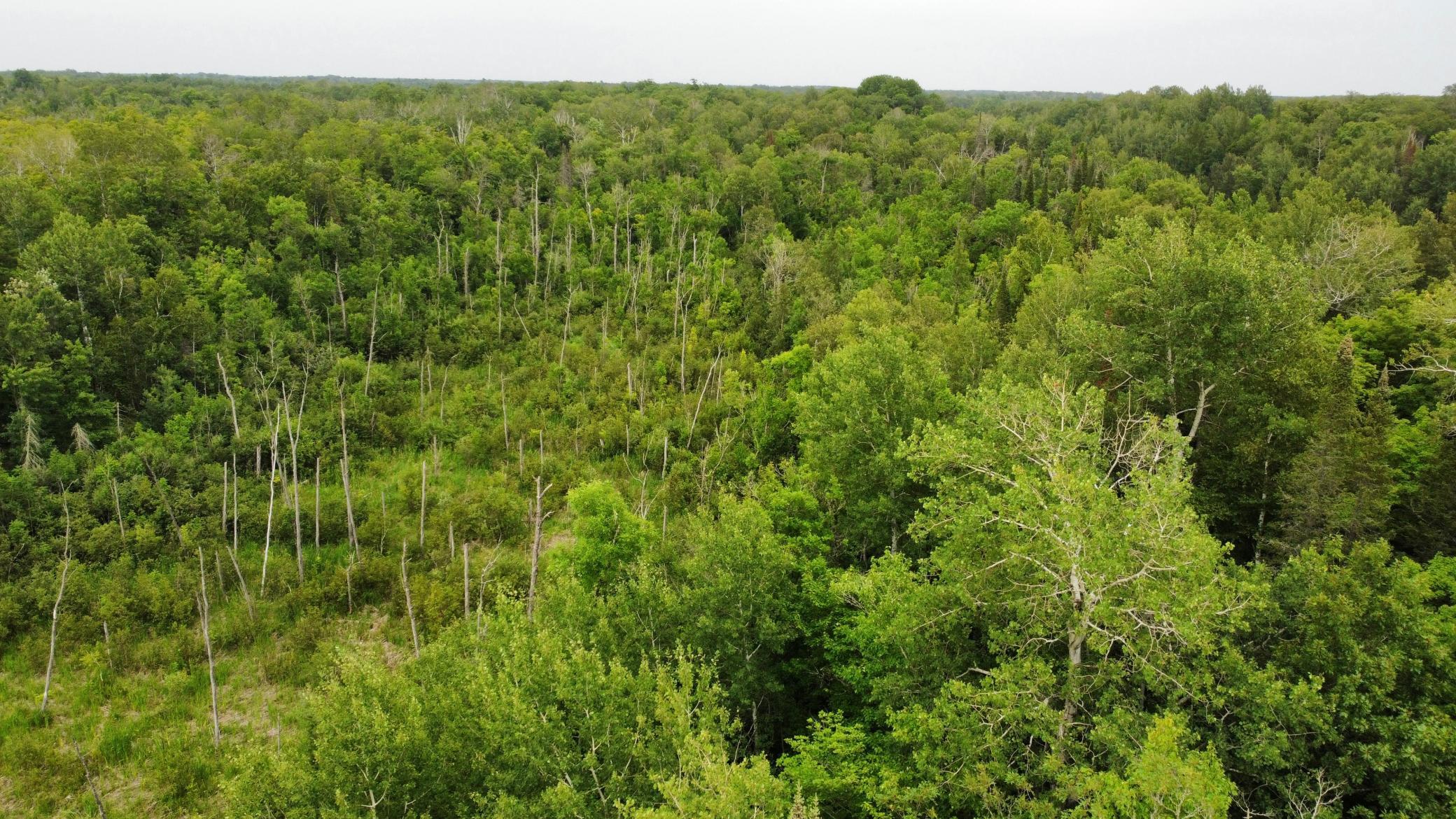 15512 Highway 27, McGregor MN 55760 - Photo 27 of 46