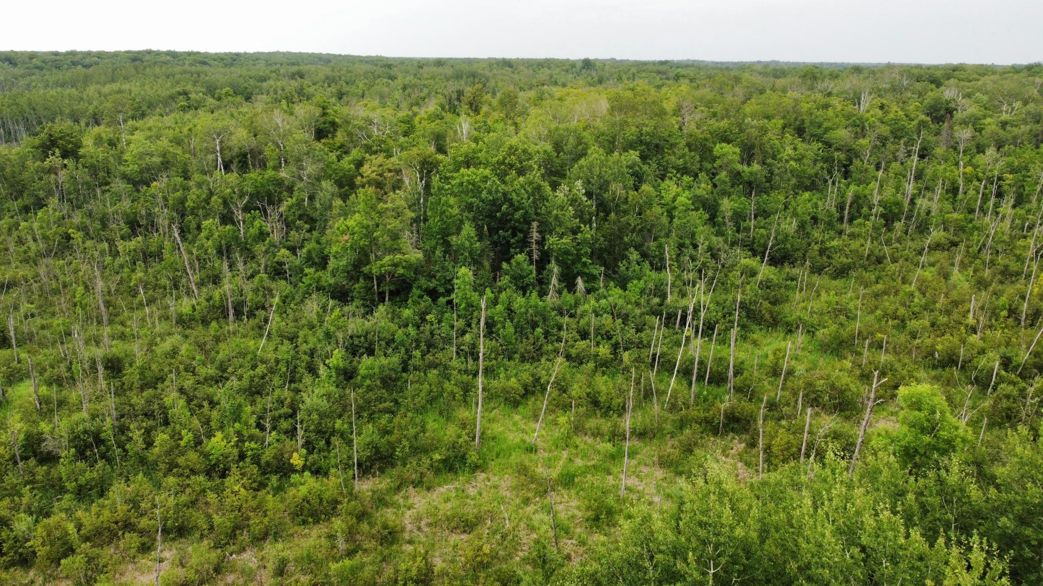 15512 Highway 27, McGregor MN 55760 - Photo 28 of 46