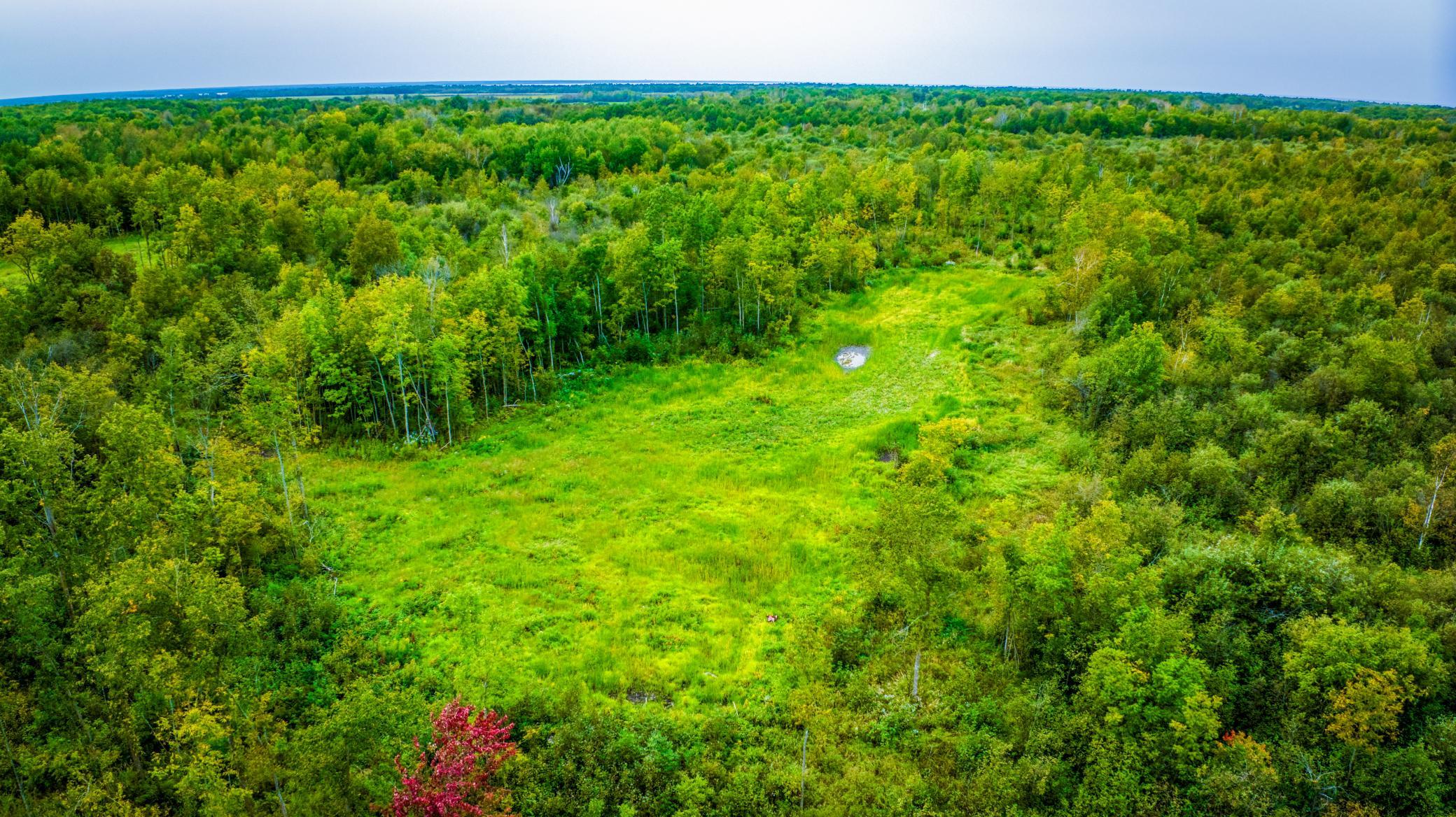 land for sale at 12479 Battle Road NE in Blackduck, MN (photo 11 of 37)