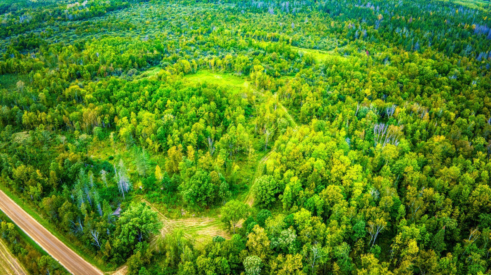 land for sale at 12479 Battle Road NE in Blackduck, MN (photo 12 of 37)