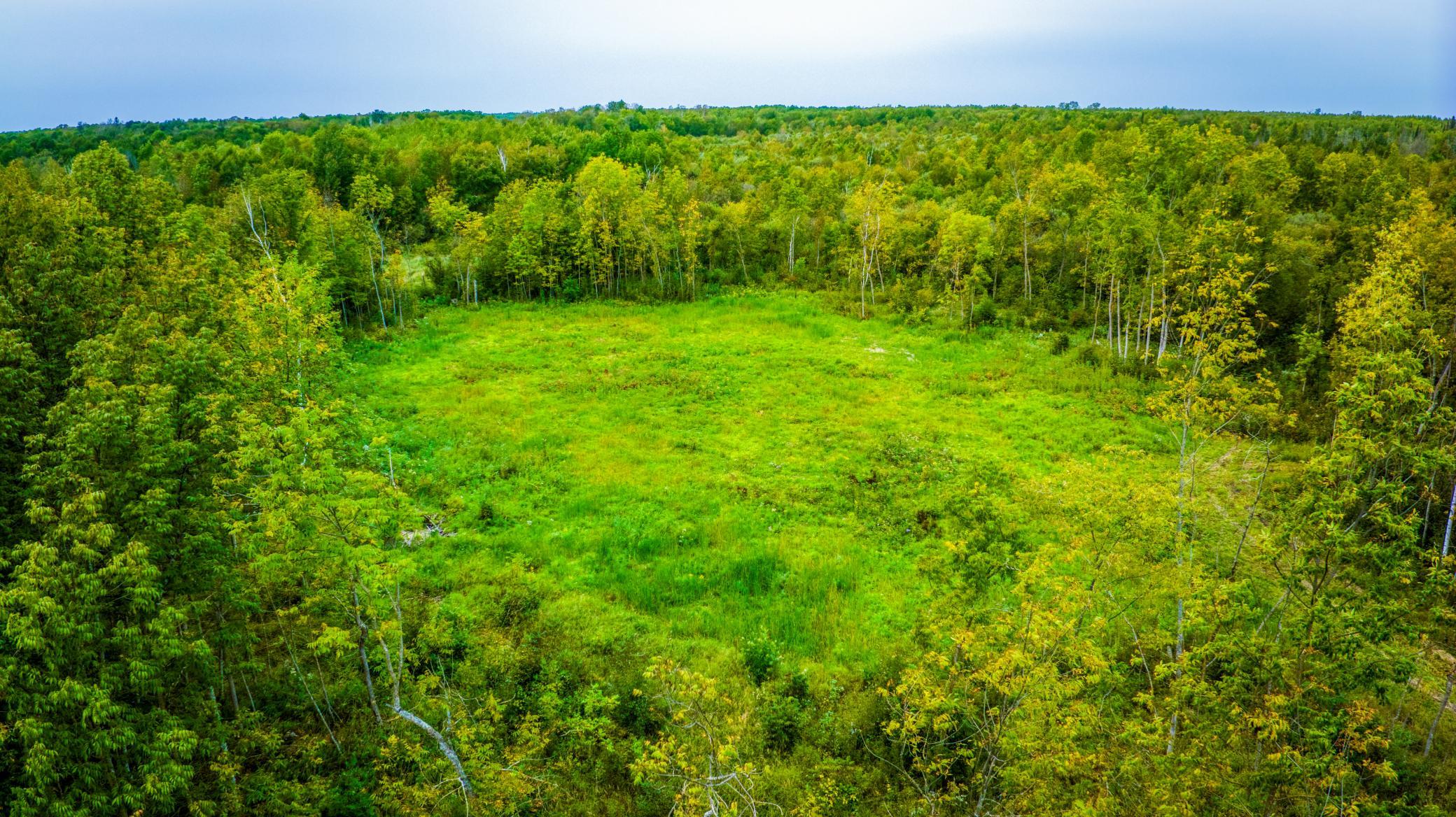 land for sale at 12479 Battle Road NE in Blackduck, MN (photo 14 of 37)
