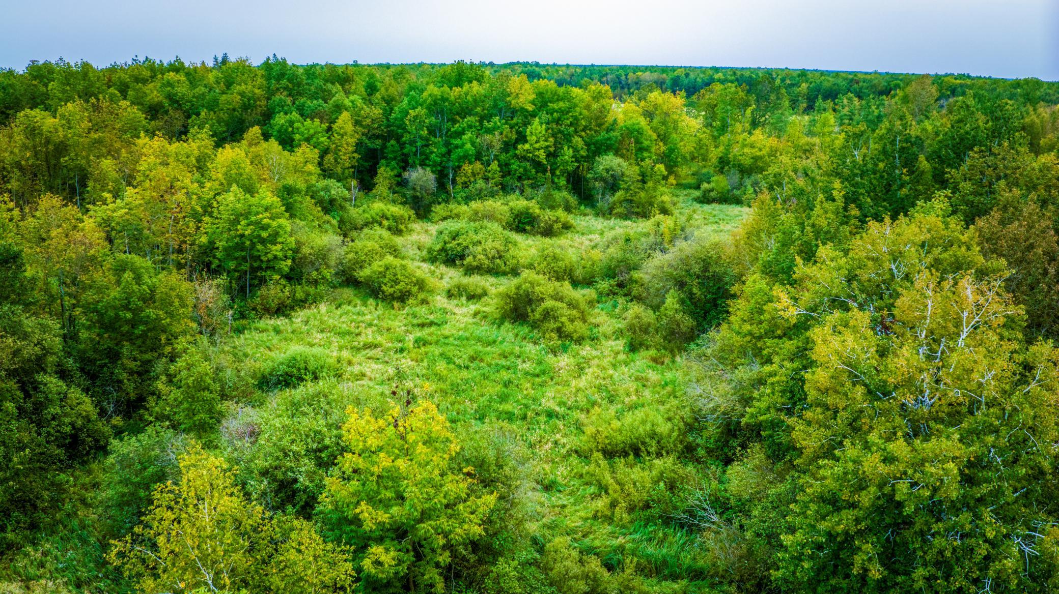 land for sale at 12479 Battle Road NE in Blackduck, MN (photo 15 of 37)