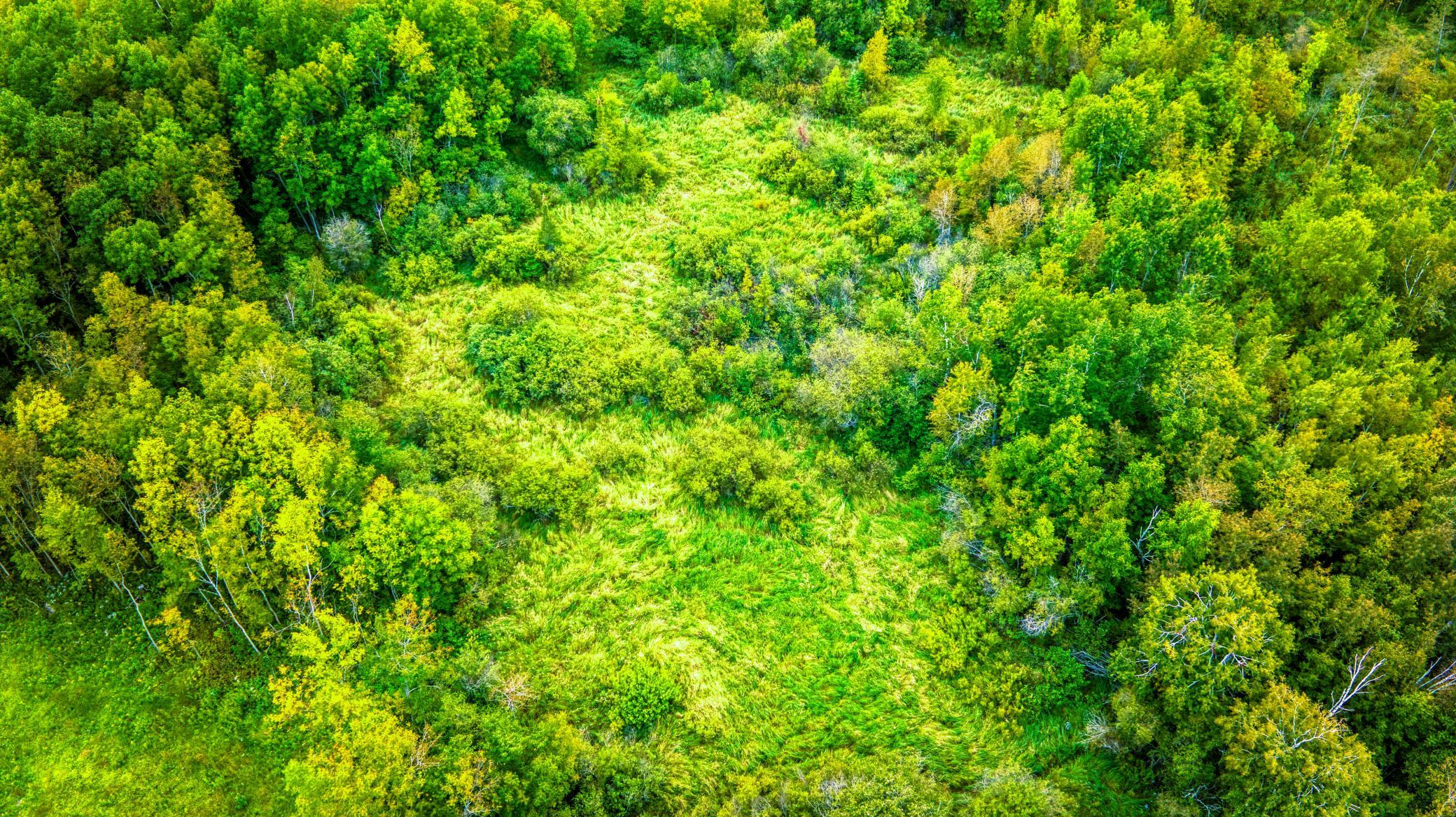 land for sale at 12479 Battle Road NE in Blackduck, MN (photo 16 of 37)