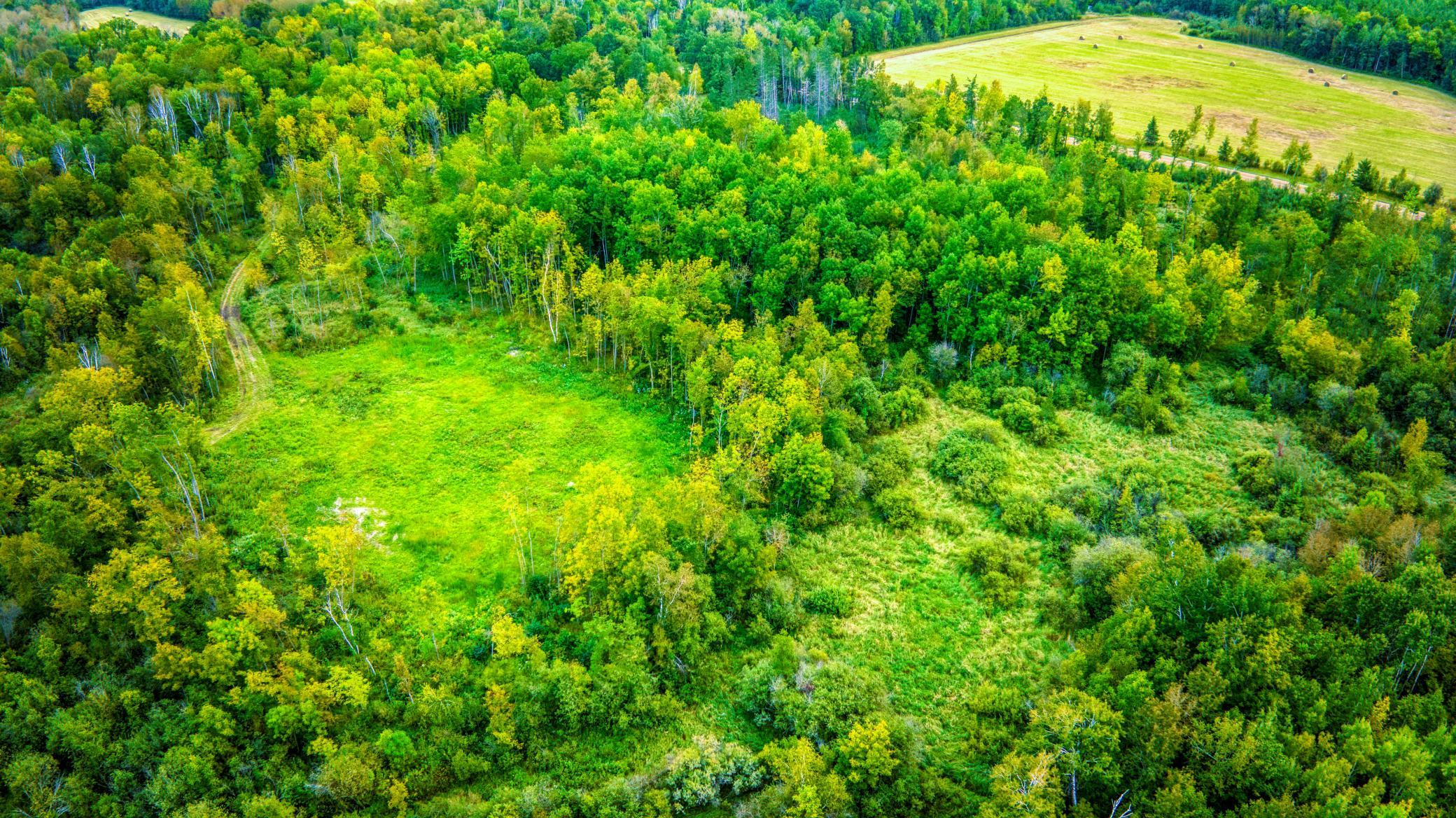 land for sale at 12479 Battle Road NE in Blackduck, MN (photo 17 of 37)