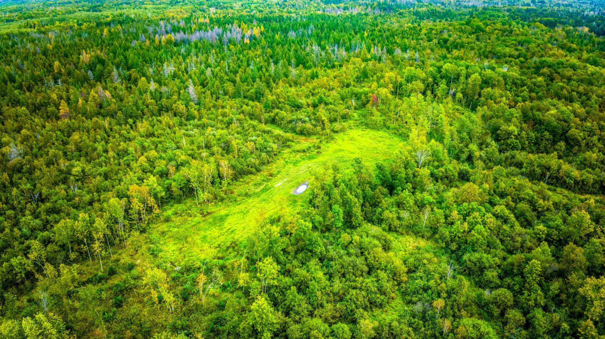 land for sale at 12479 Battle Road NE in Blackduck, MN (photo 18 of 37)