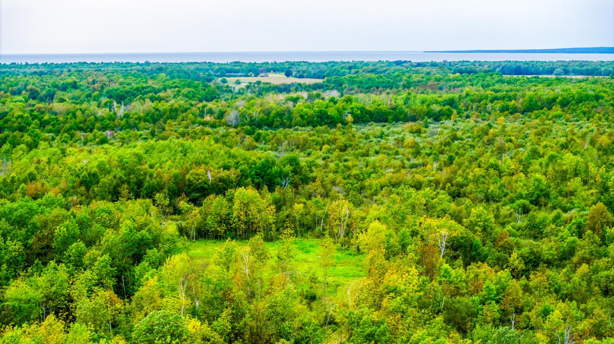 land for sale at 12479 Battle Road NE in Blackduck, MN (photo 19 of 37)